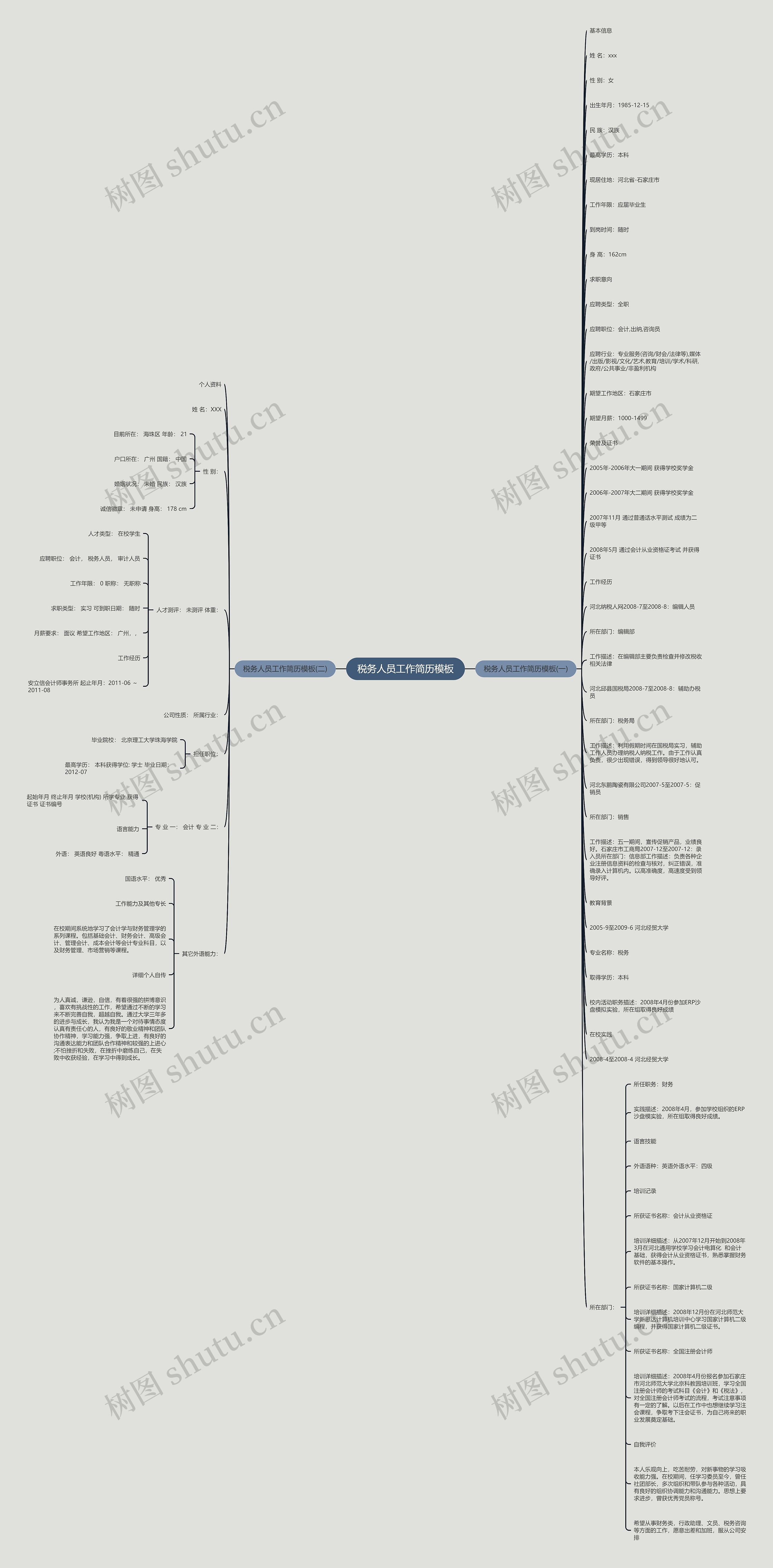 税务人员工作简历思维导图