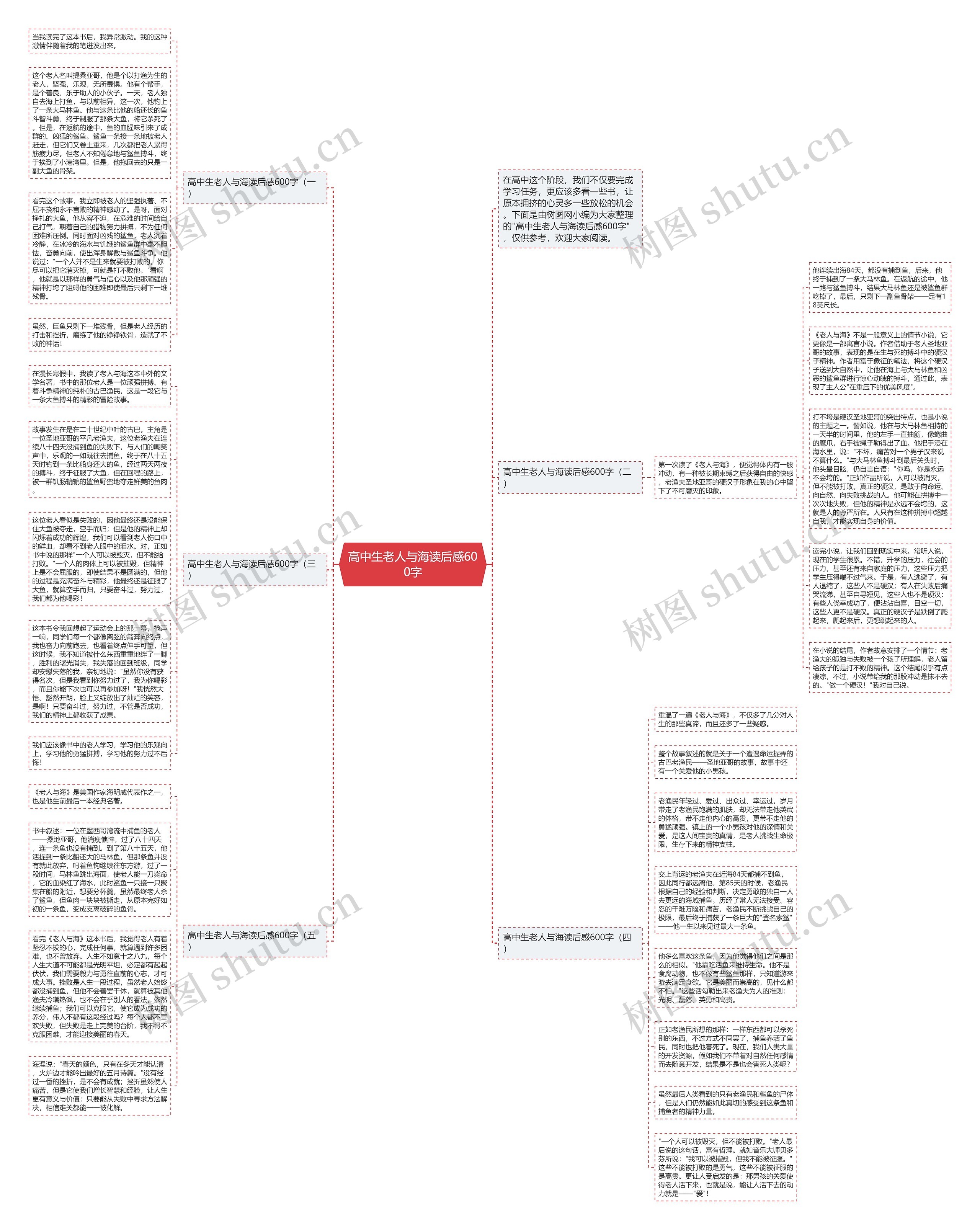 高中生老人与海读后感600字思维导图