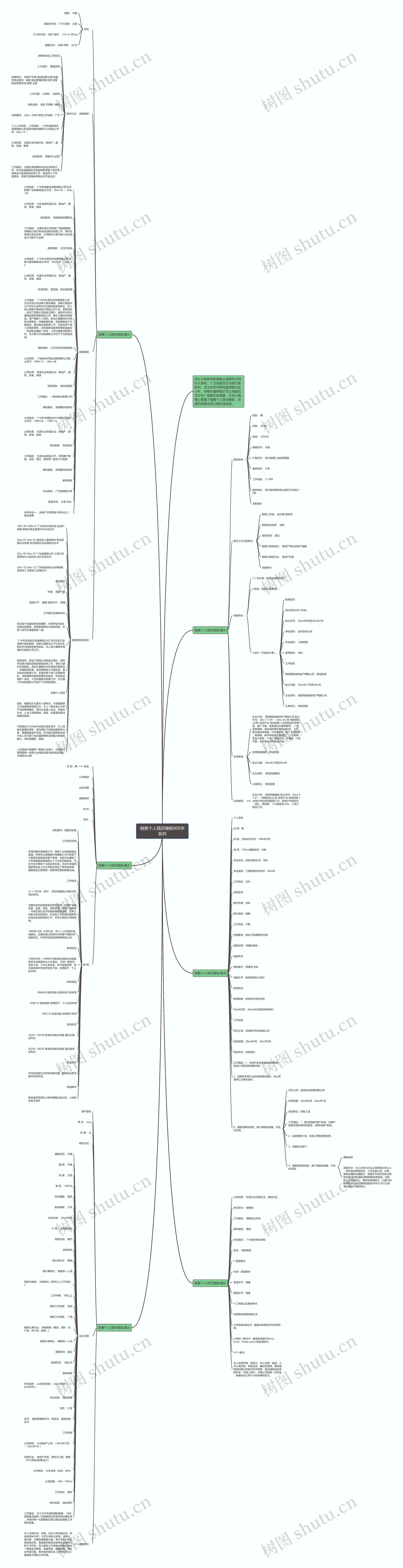 销售个人简历800字系列思维导图