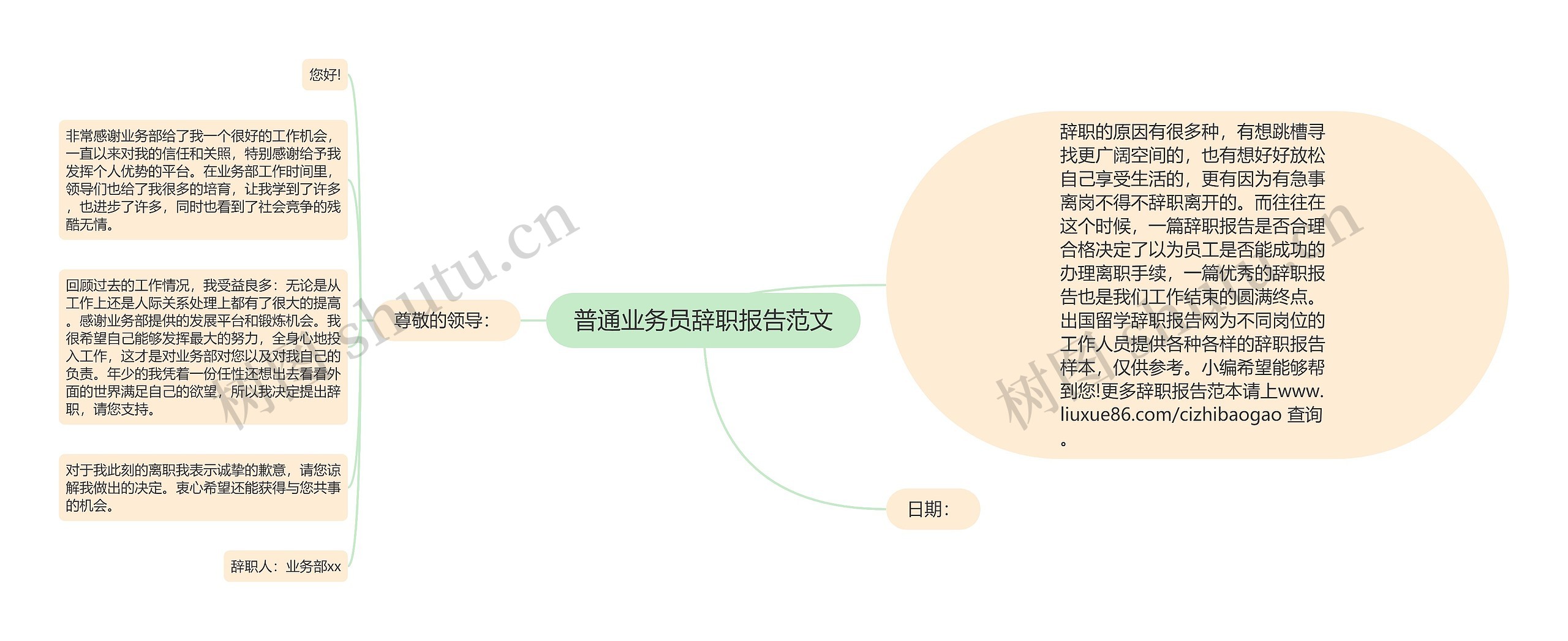 普通业务员辞职报告范文