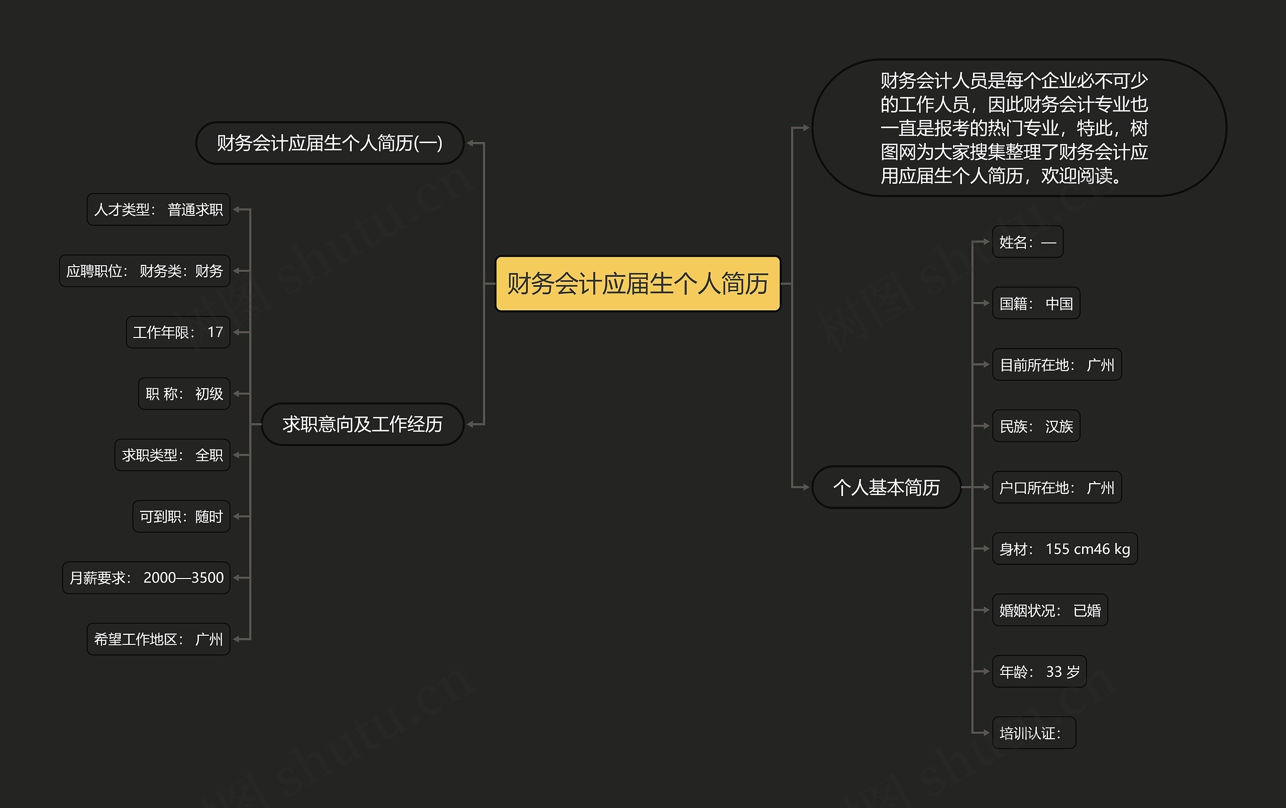 财务会计应届生个人简历思维导图