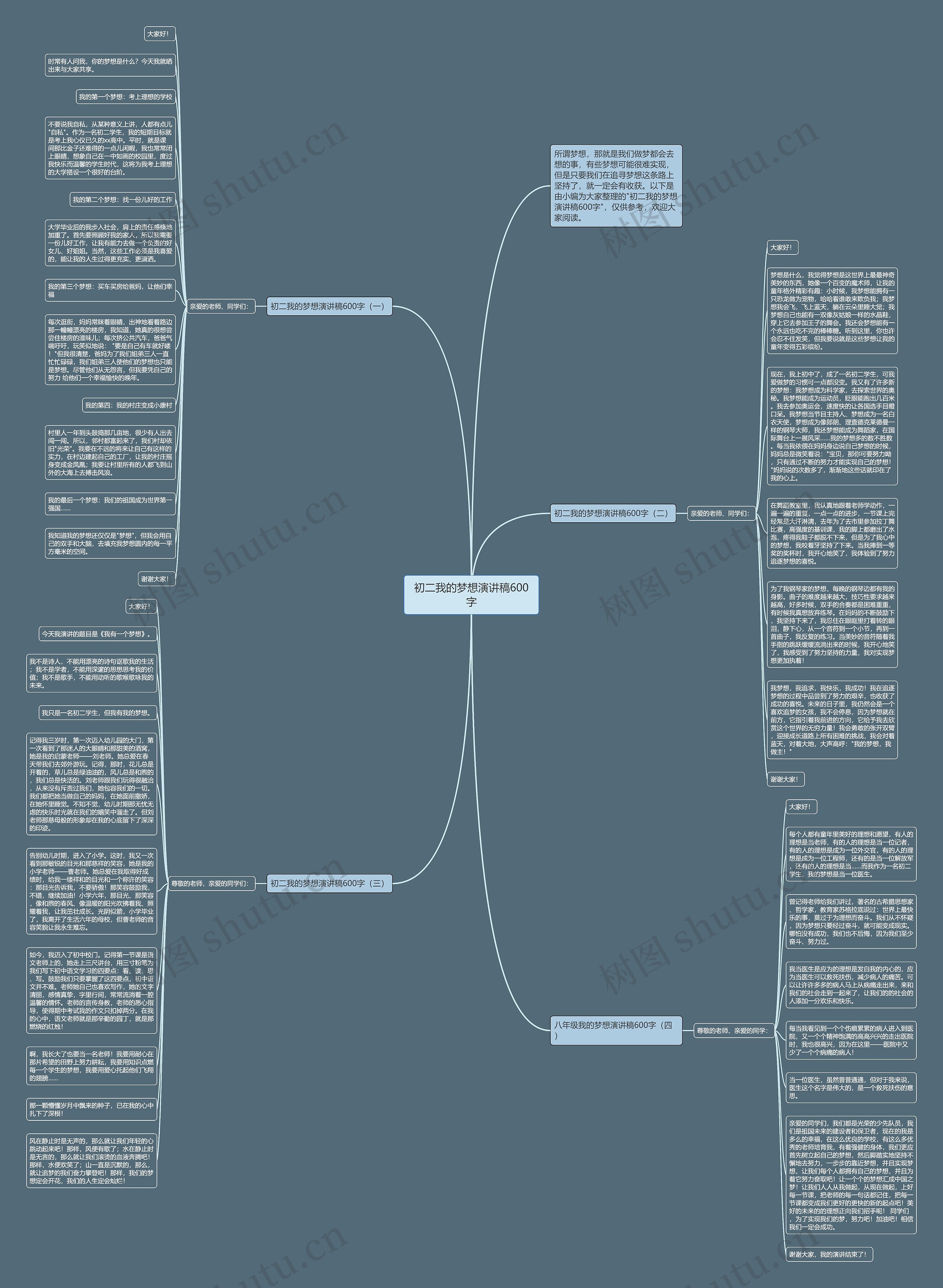 初二我的梦想演讲稿600字思维导图