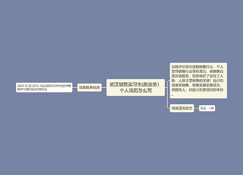 武汉销售实习生(跑业务）个人简历怎么写