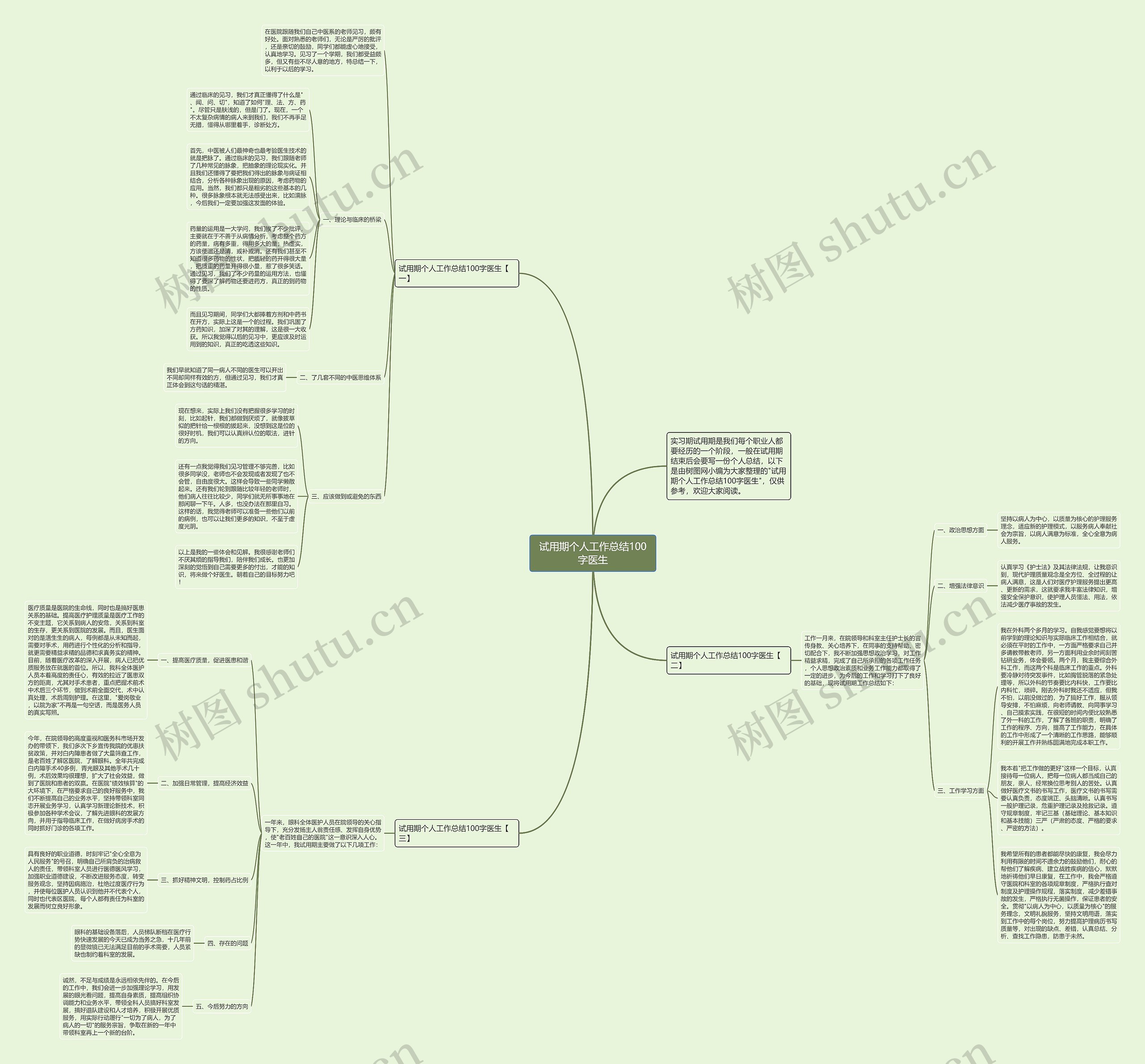 试用期个人工作总结100字医生思维导图