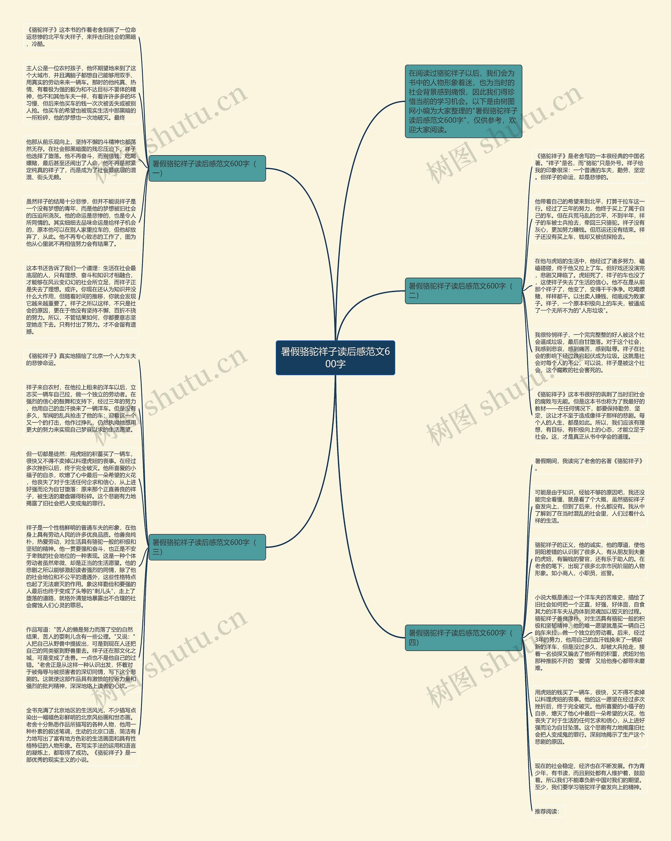 暑假骆驼祥子读后感范文600字思维导图