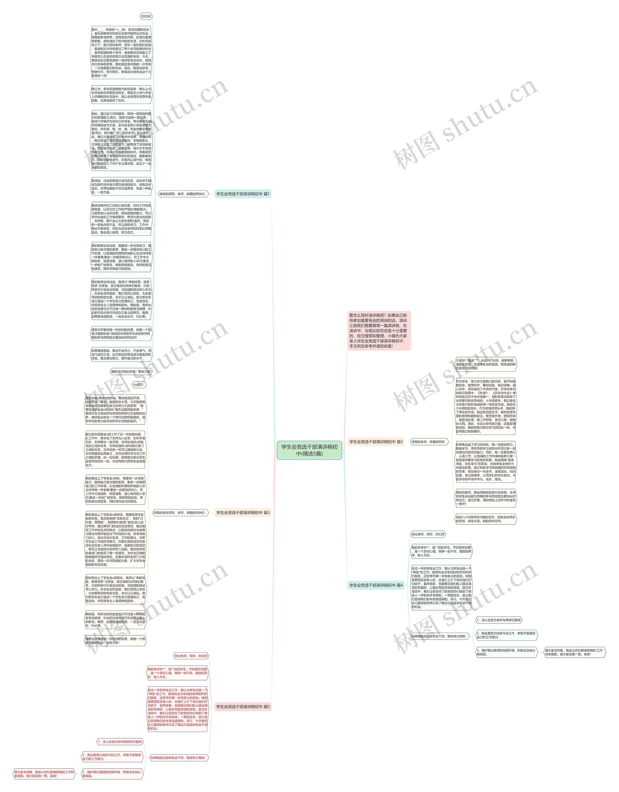 学生会竞选干部演讲稿初中(精选5篇)思维导图
