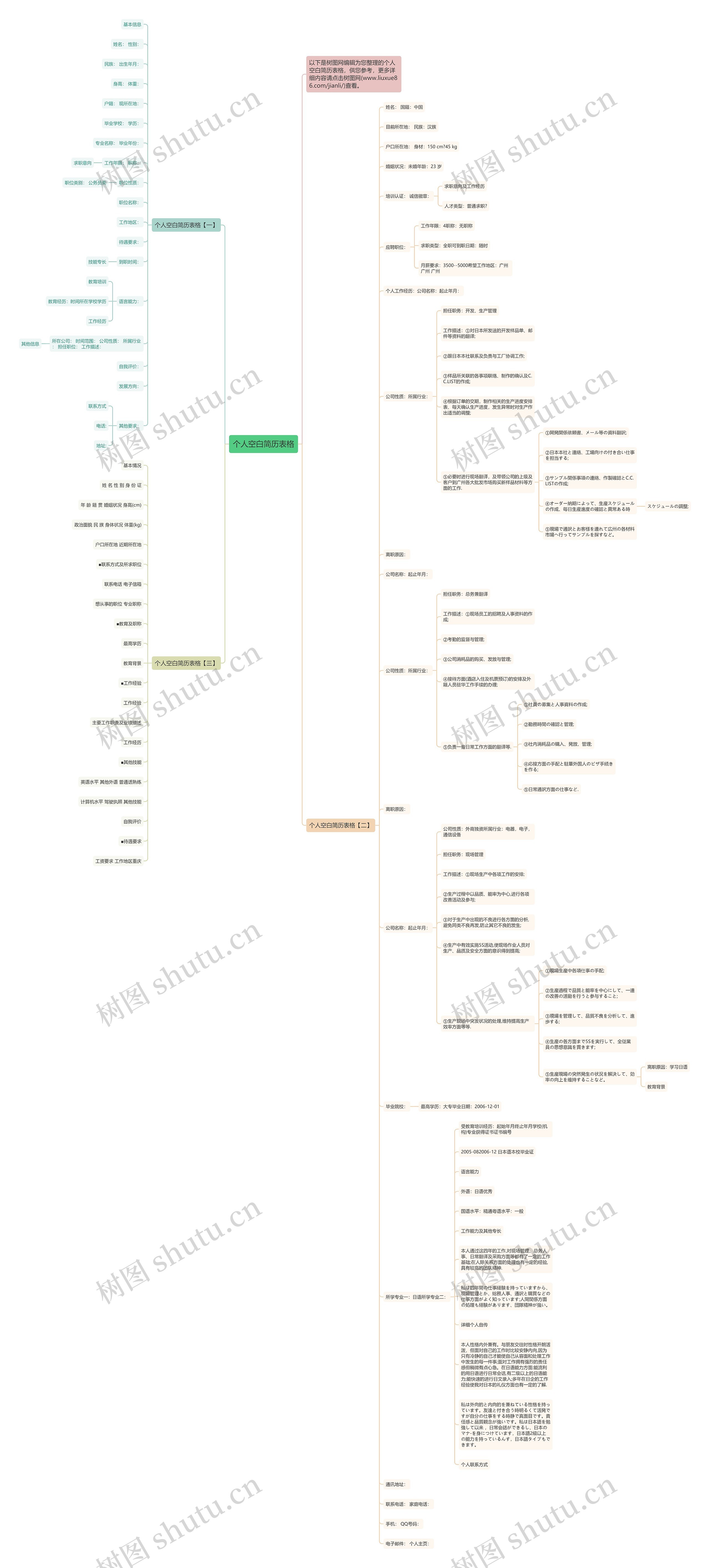个人空白简历表格思维导图