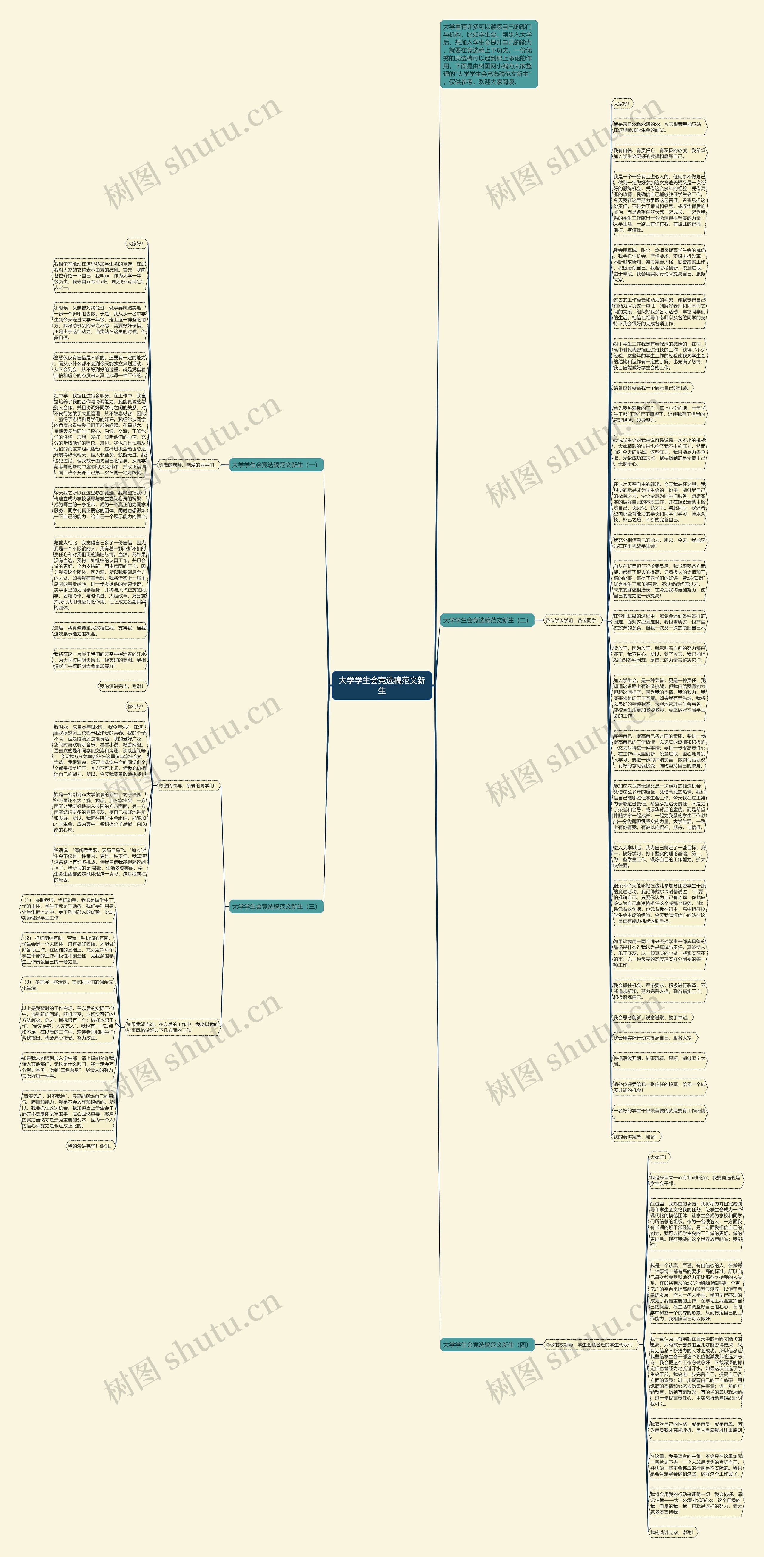 大学学生会竞选稿范文新生思维导图