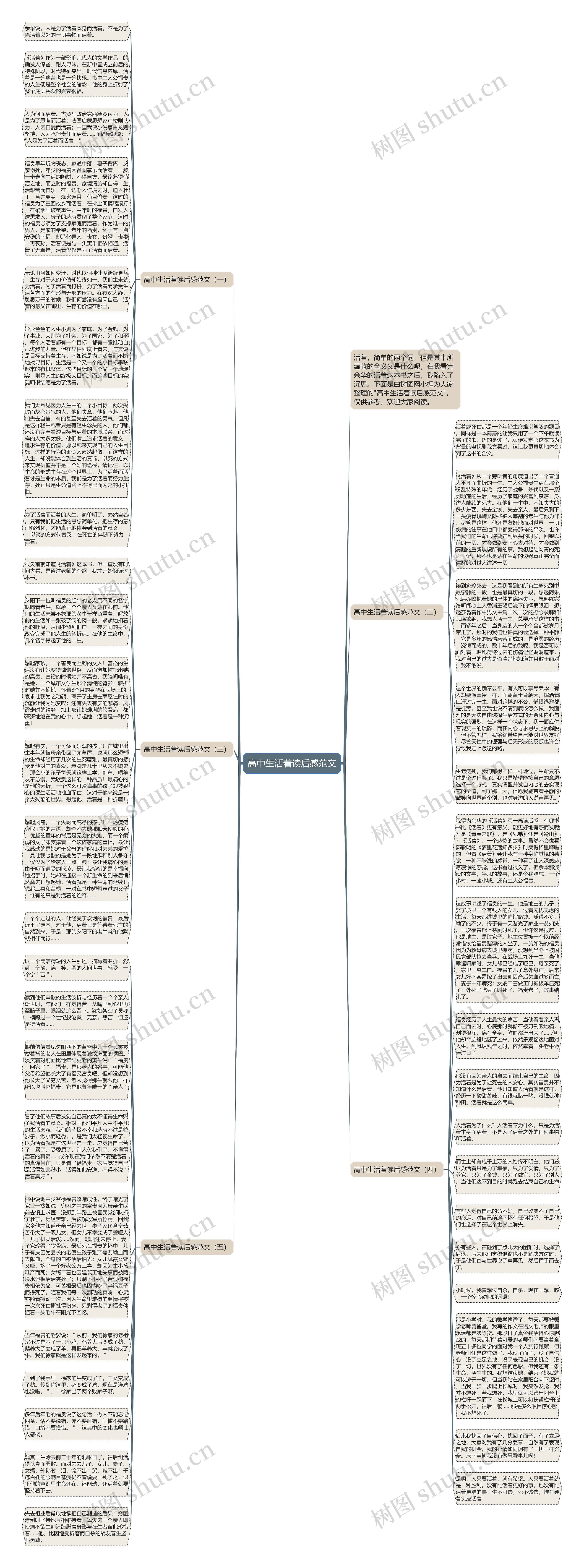 高中生活着读后感范文思维导图