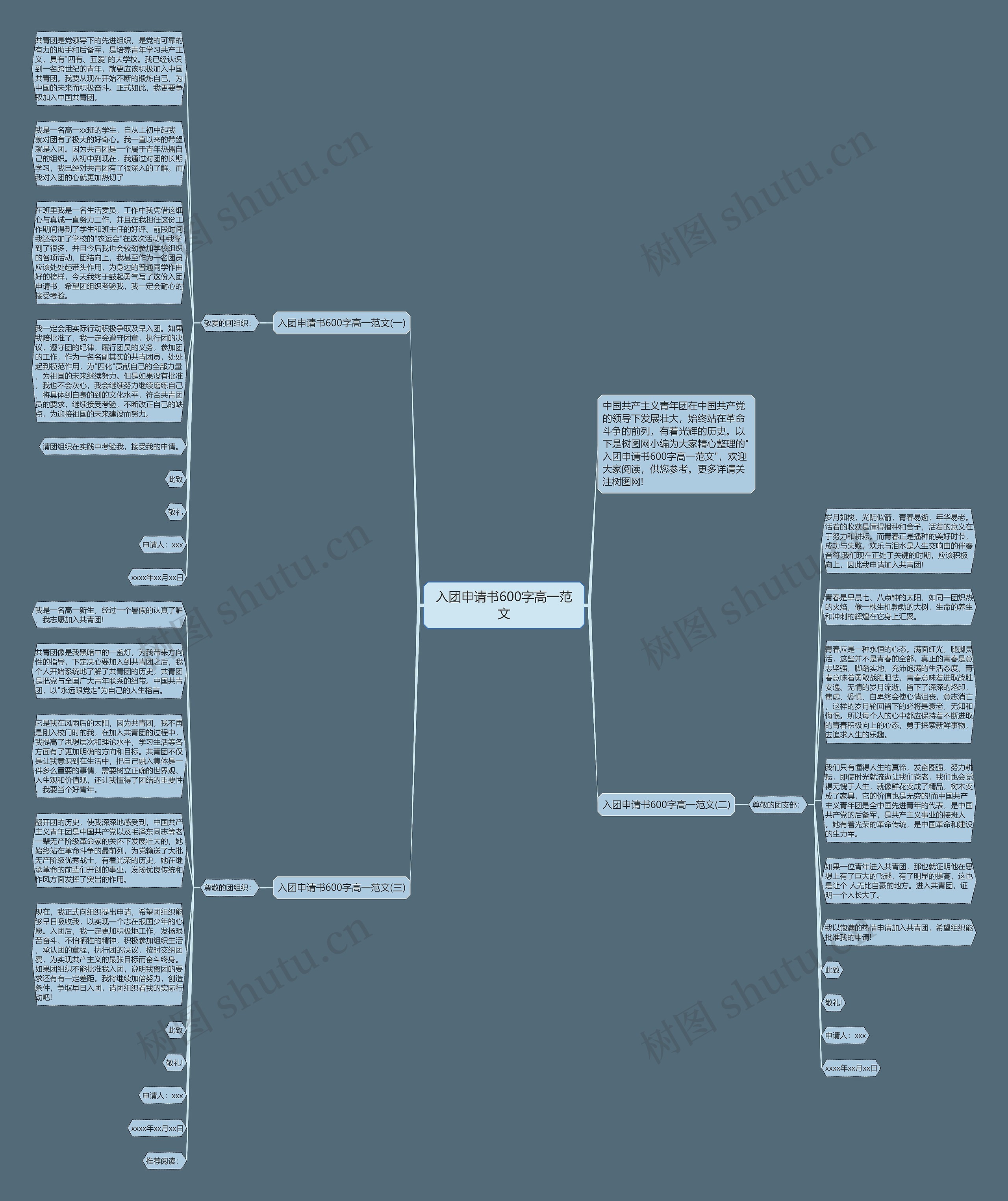 入团申请书600字高一范文思维导图