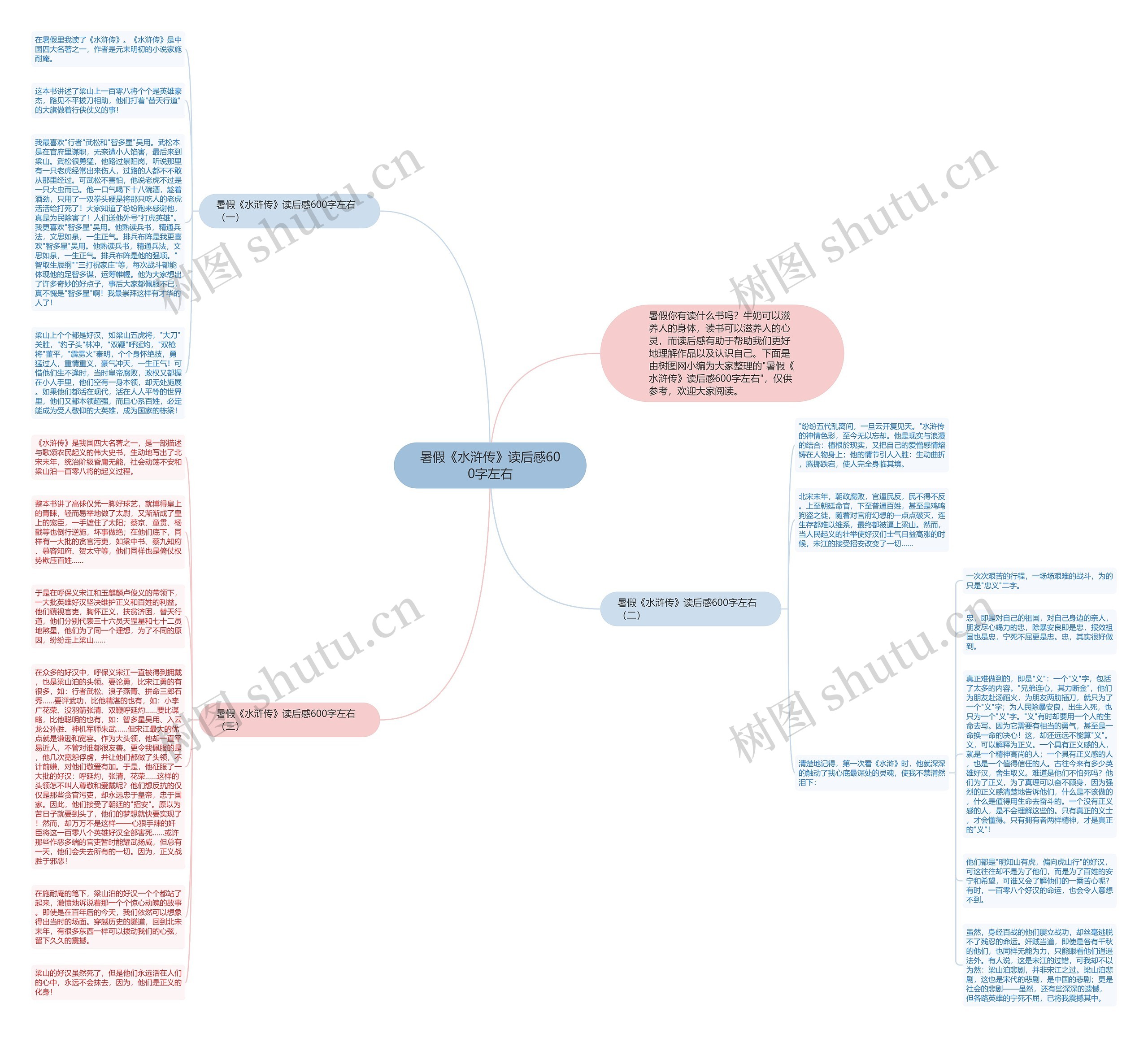 暑假《水浒传》读后感600字左右思维导图