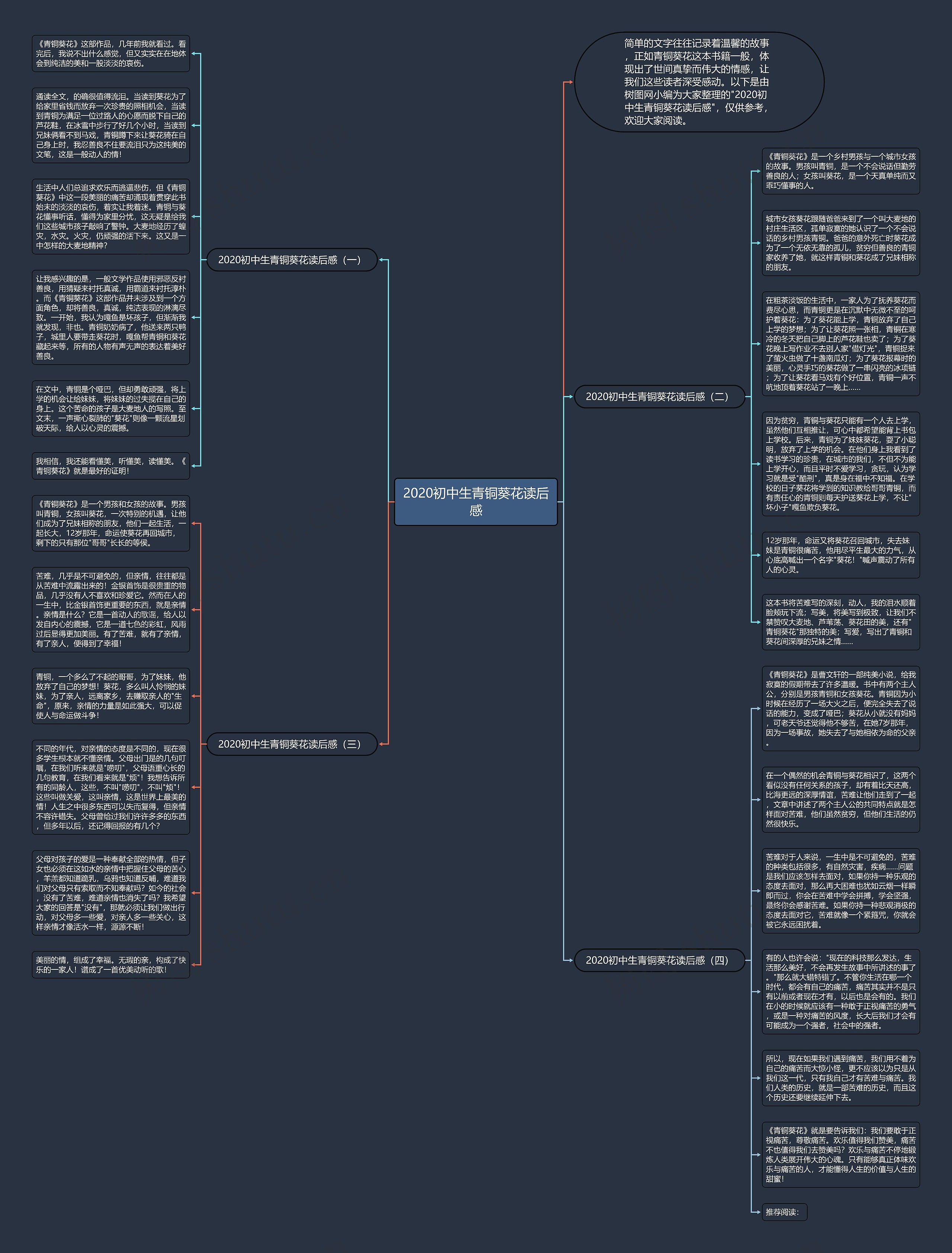 2020初中生青铜葵花读后感思维导图