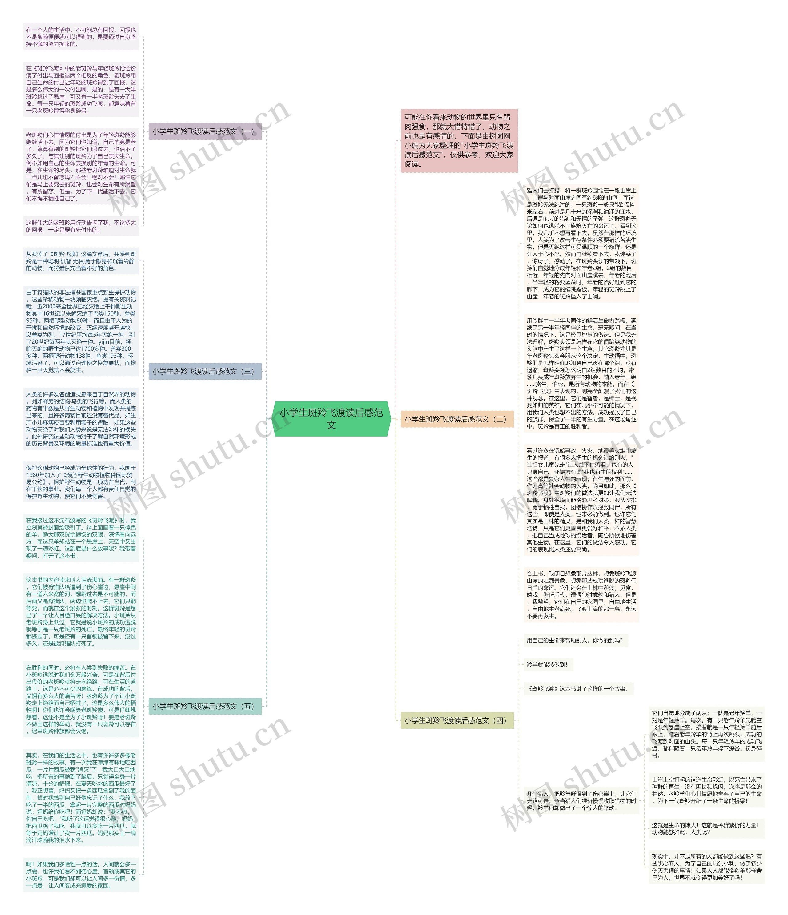小学生斑羚飞渡读后感范文思维导图
