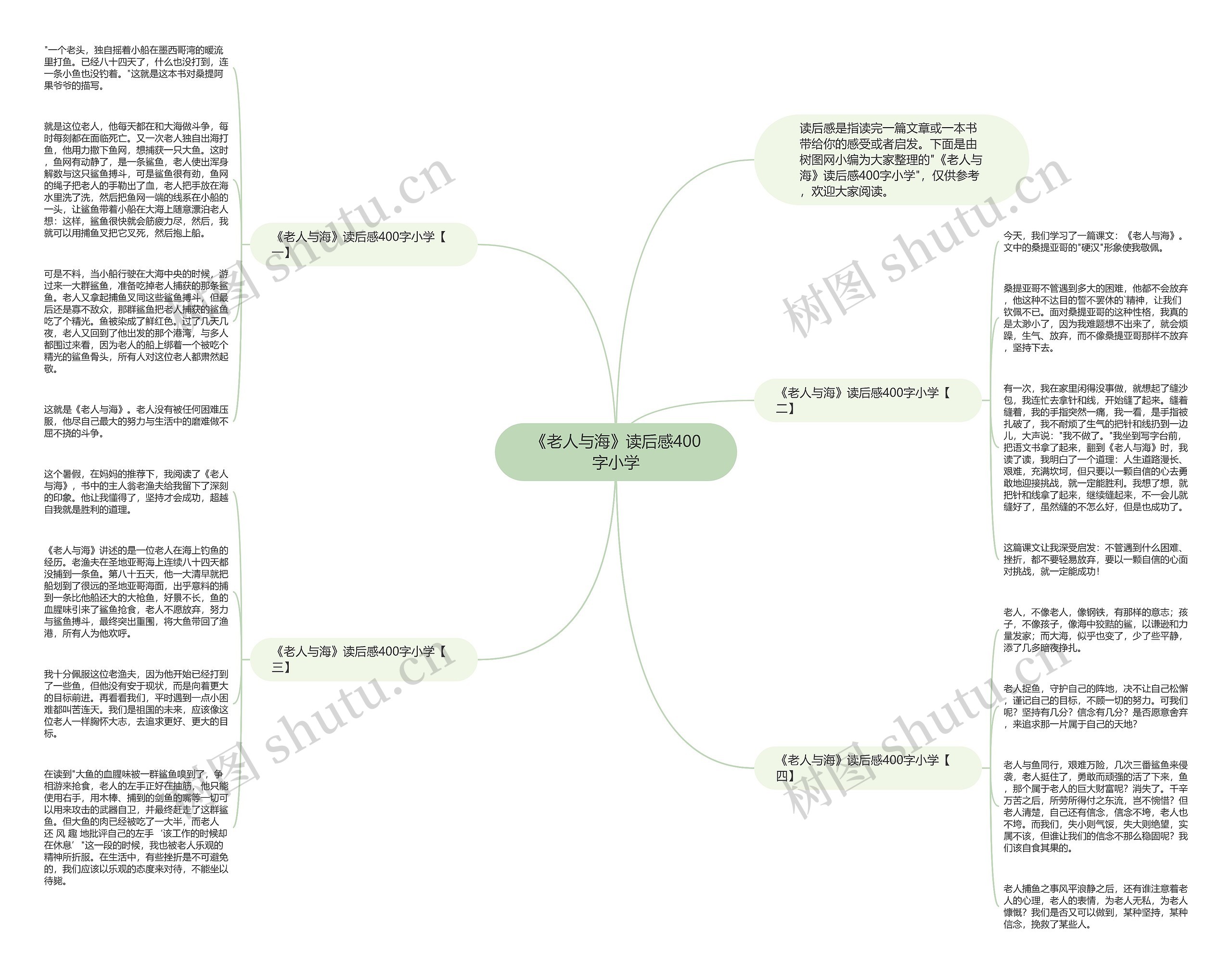 《老人与海》读后感400字小学
