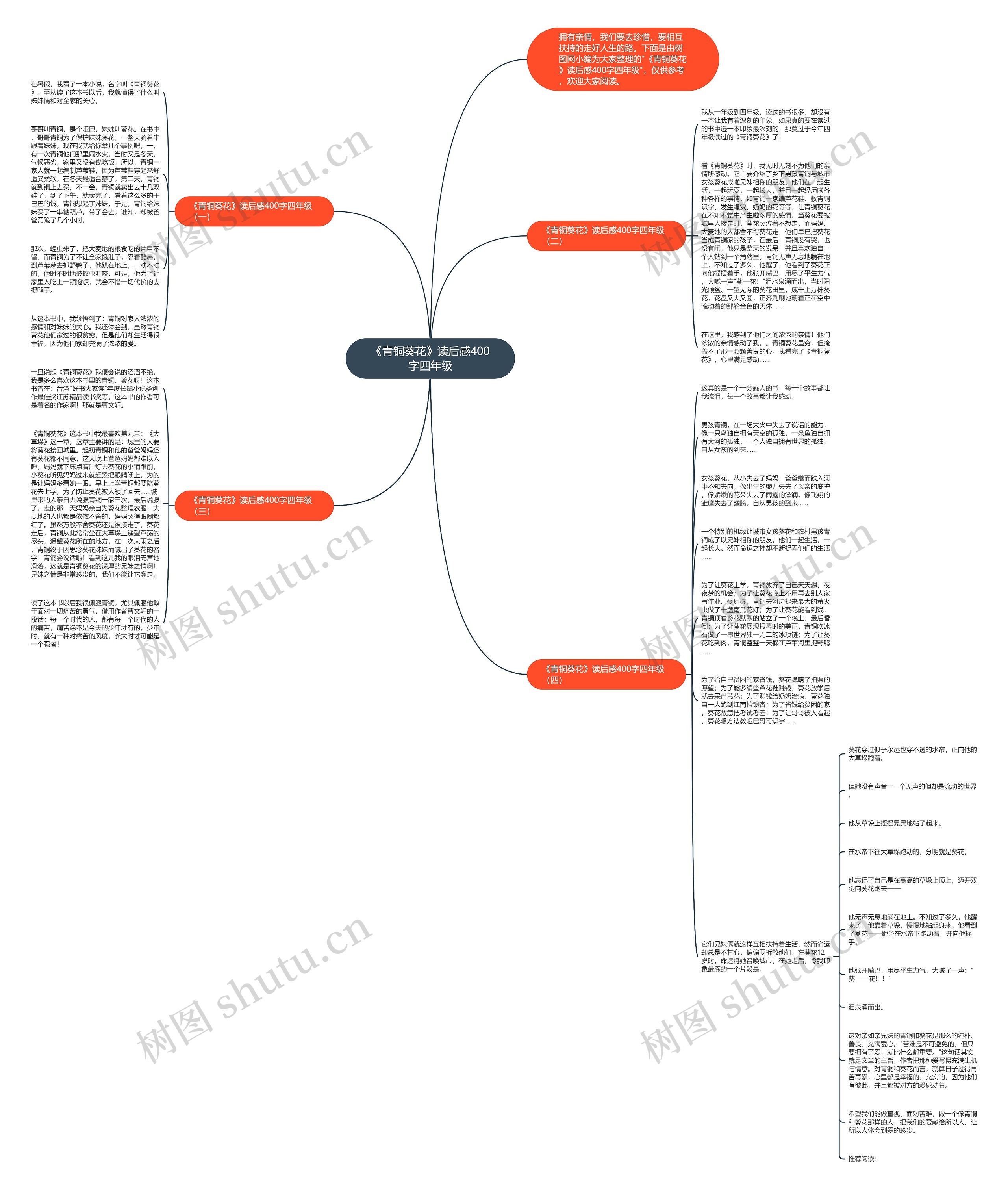 《青铜葵花》读后感400字四年级思维导图