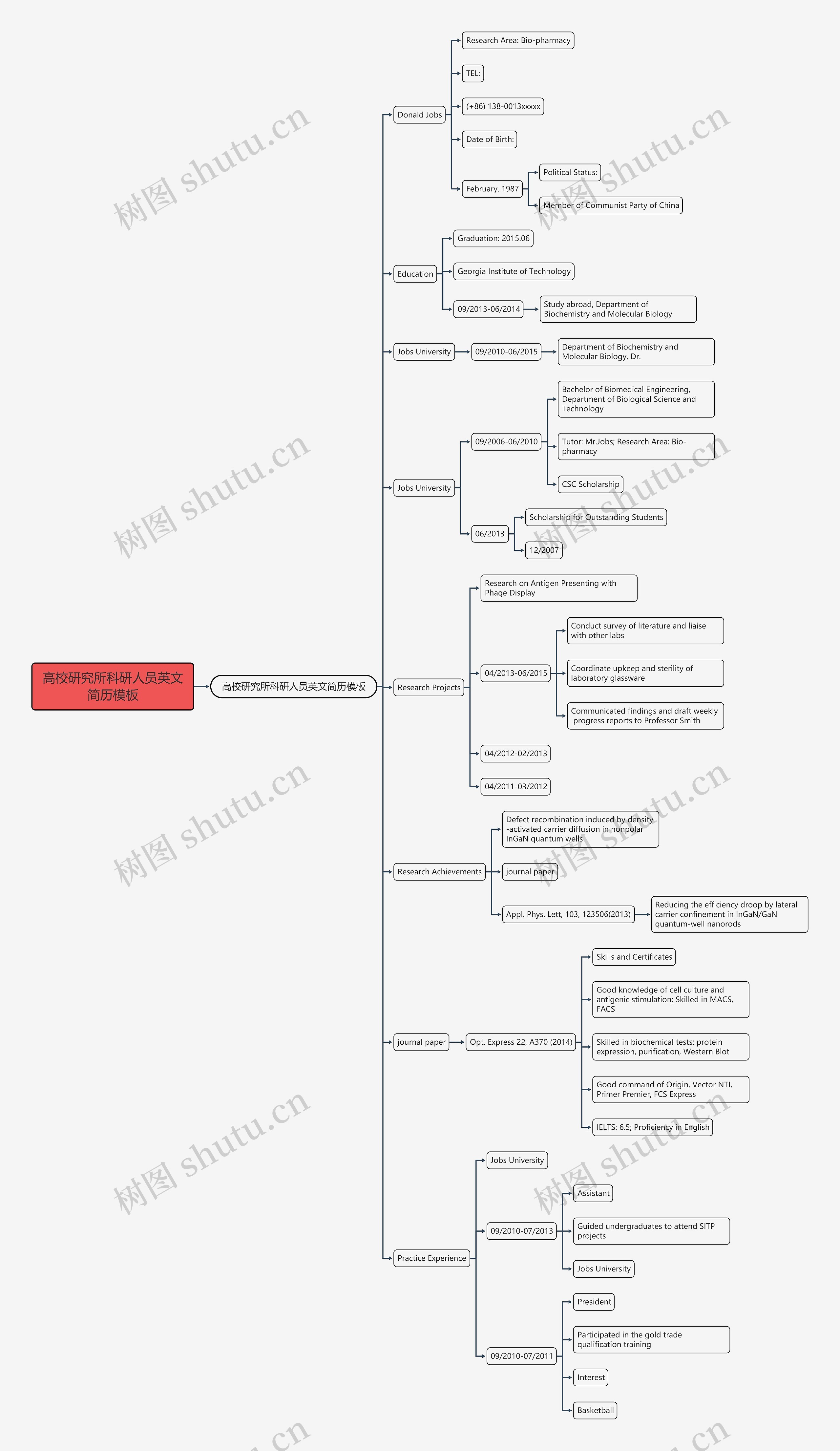 高校研究所科研人员英文简历思维导图