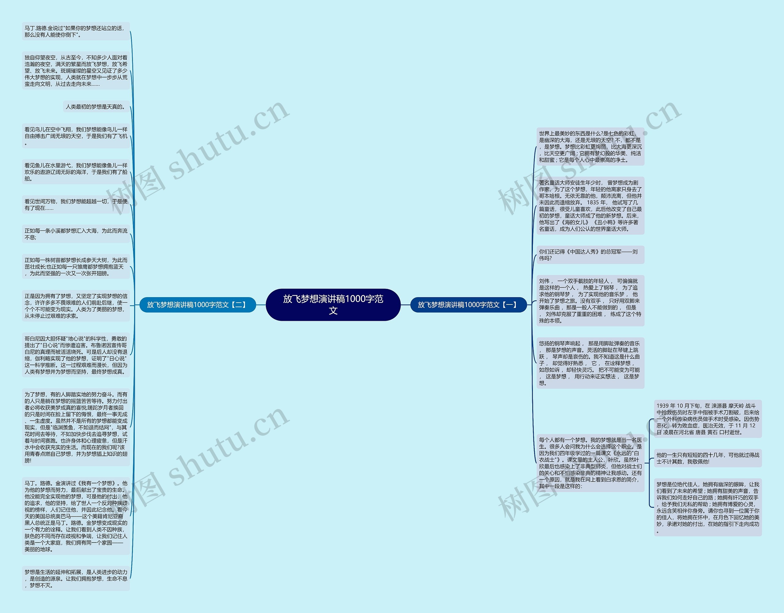 放飞梦想演讲稿1000字范文思维导图