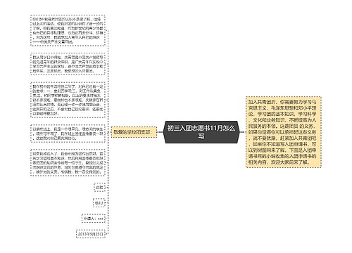 初三入团志愿书11月怎么写