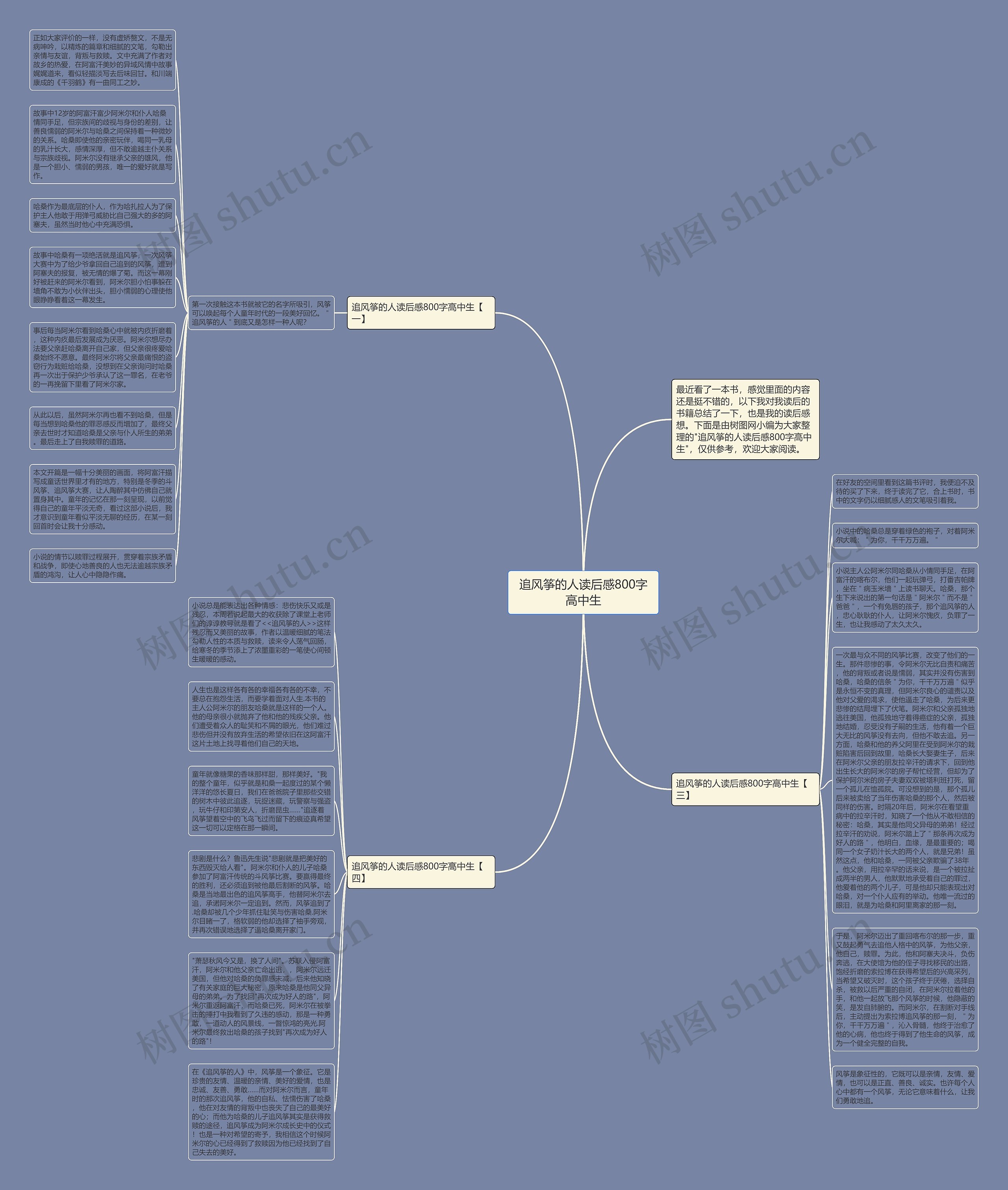 追风筝的人读后感800字高中生思维导图