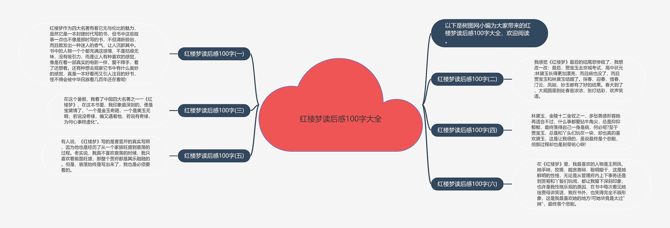 红楼梦读后感100字大全思维导图