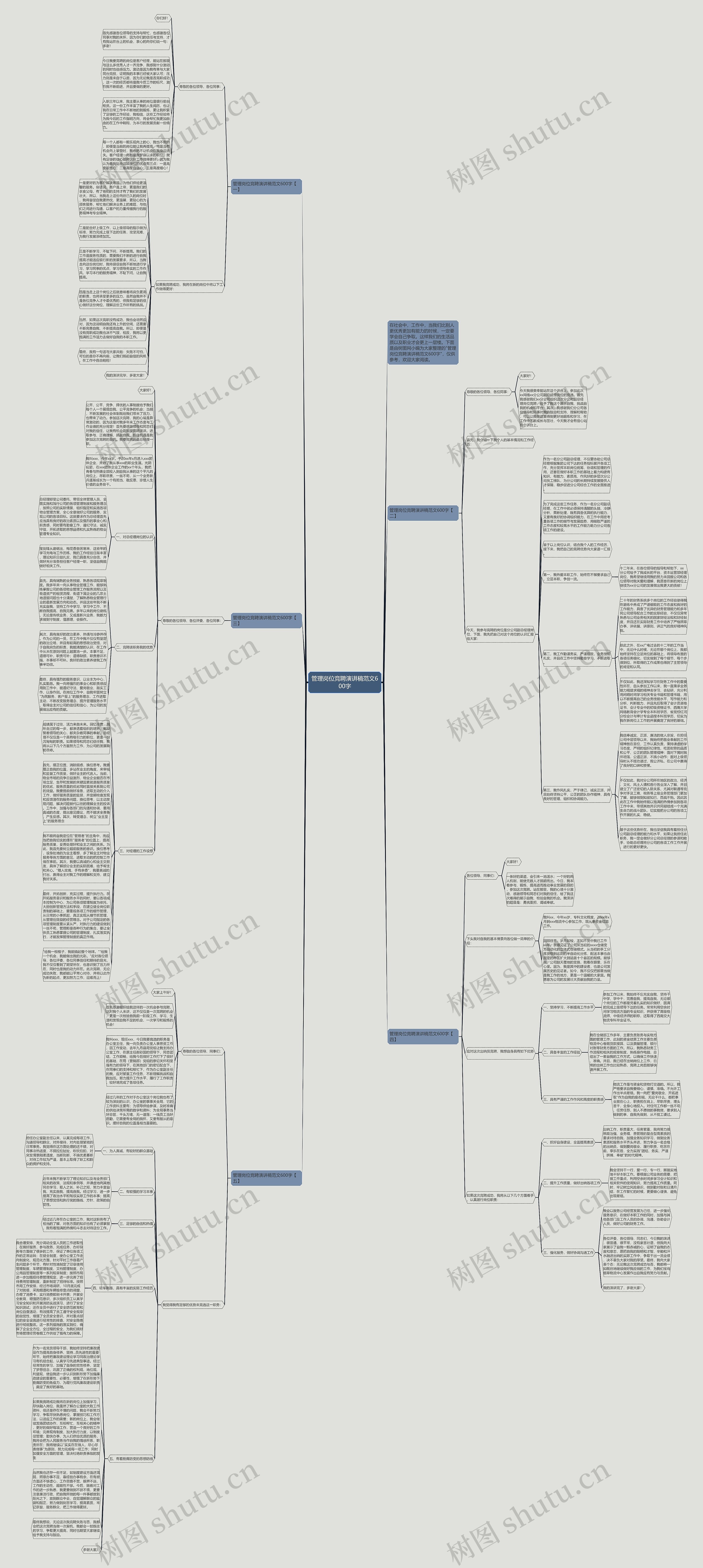 管理岗位竞聘演讲稿范文600字思维导图
