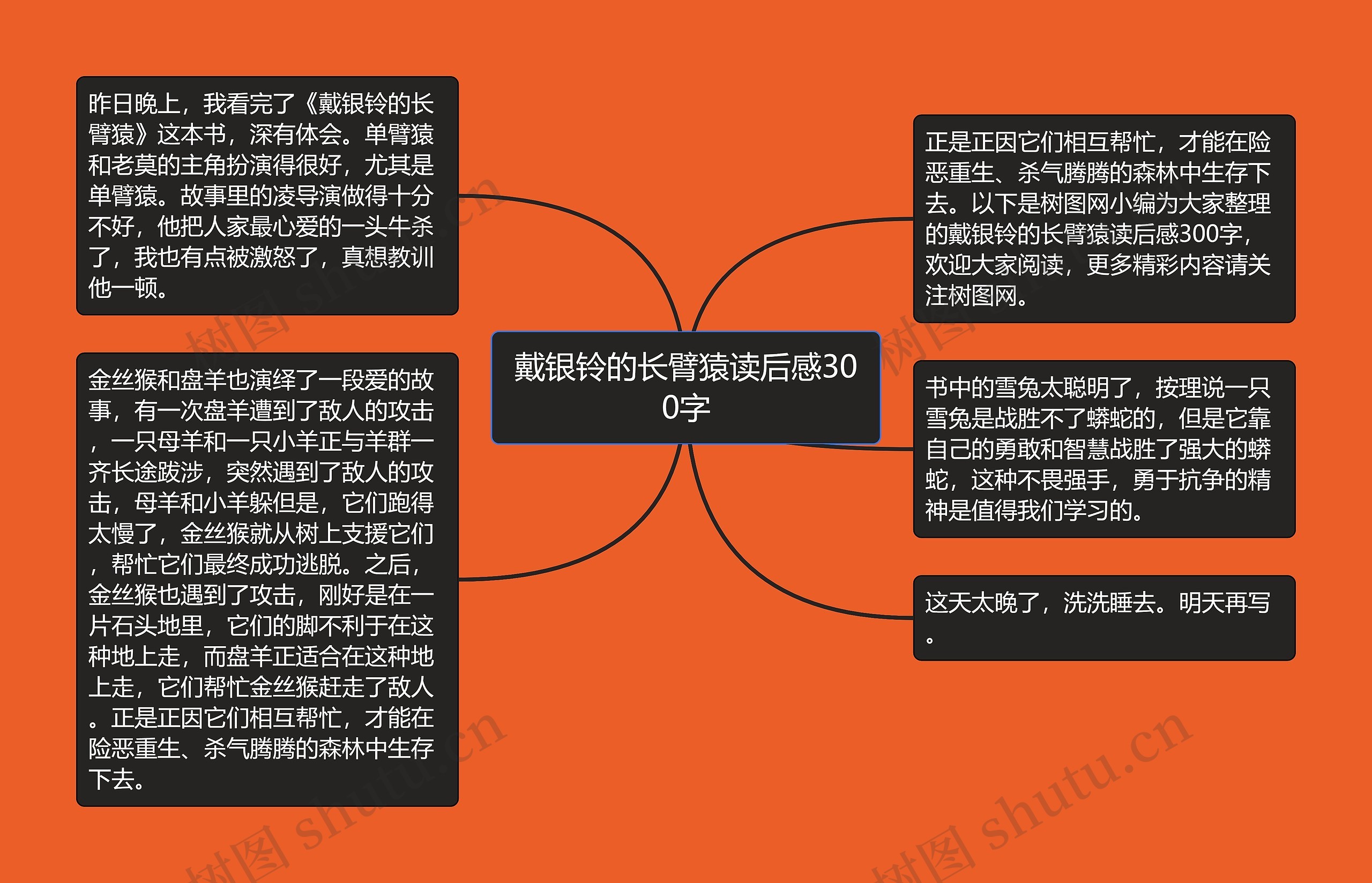 戴银铃的长臂猿读后感300字思维导图