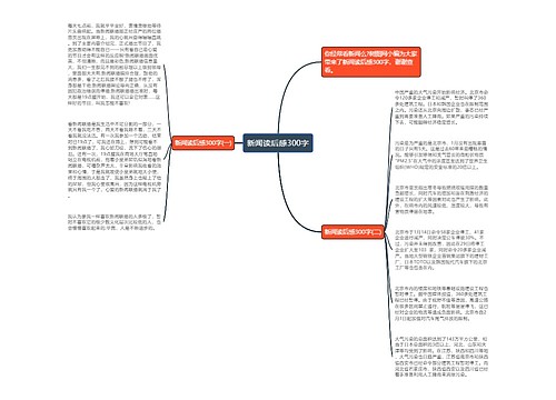 新闻读后感300字