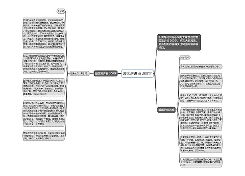 爱国演讲稿 300字