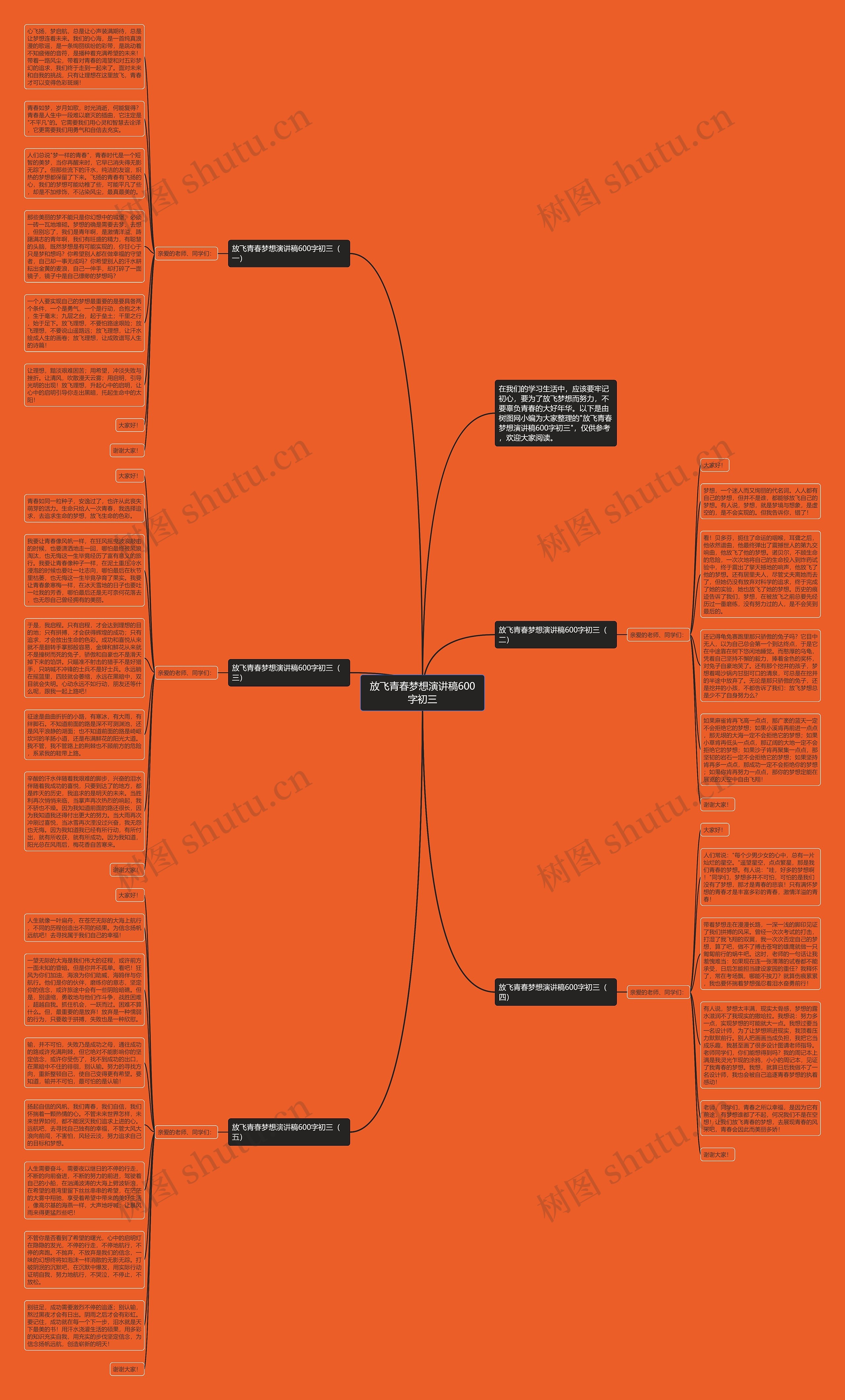 放飞青春梦想演讲稿600字初三思维导图