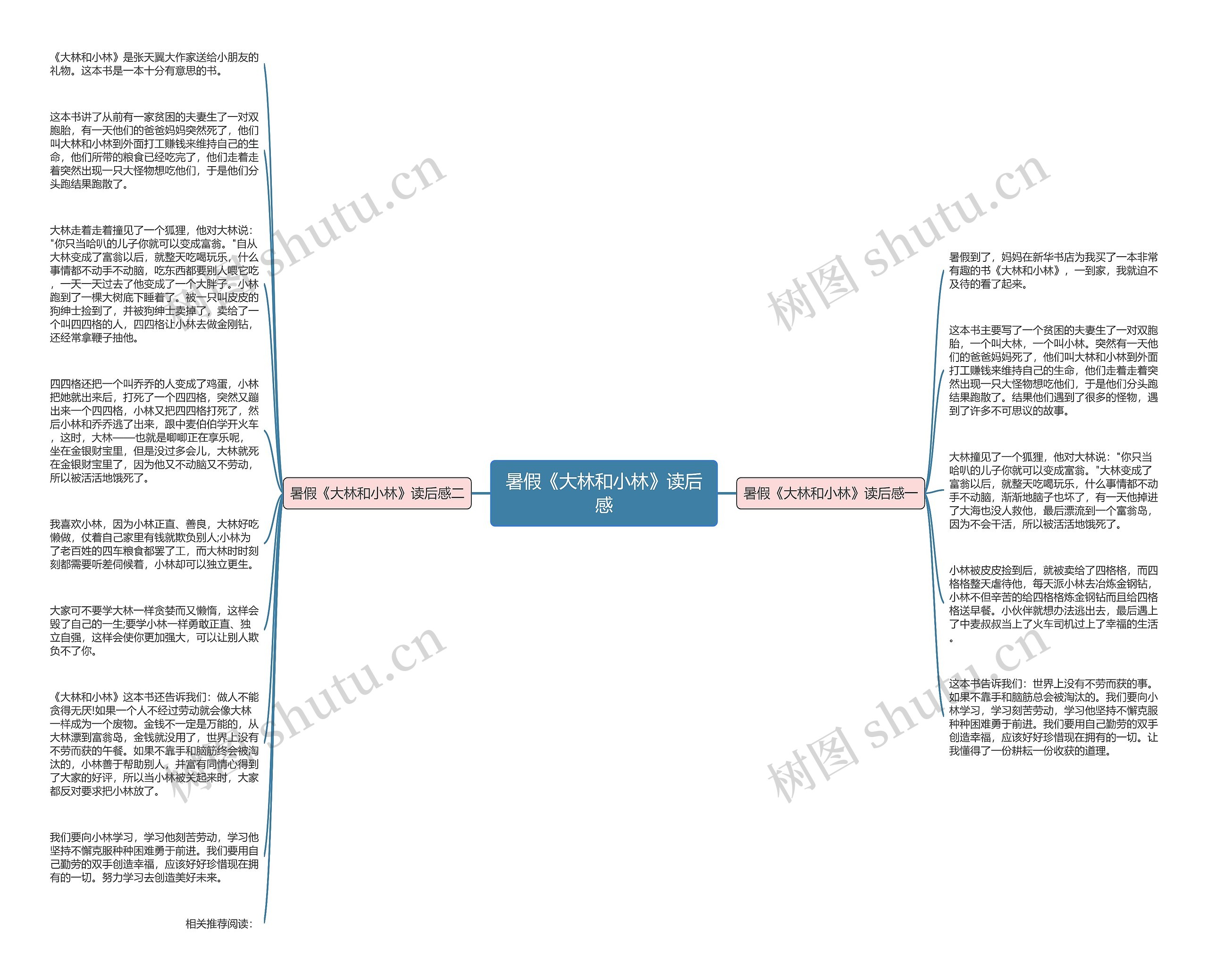 暑假《大林和小林》读后感思维导图