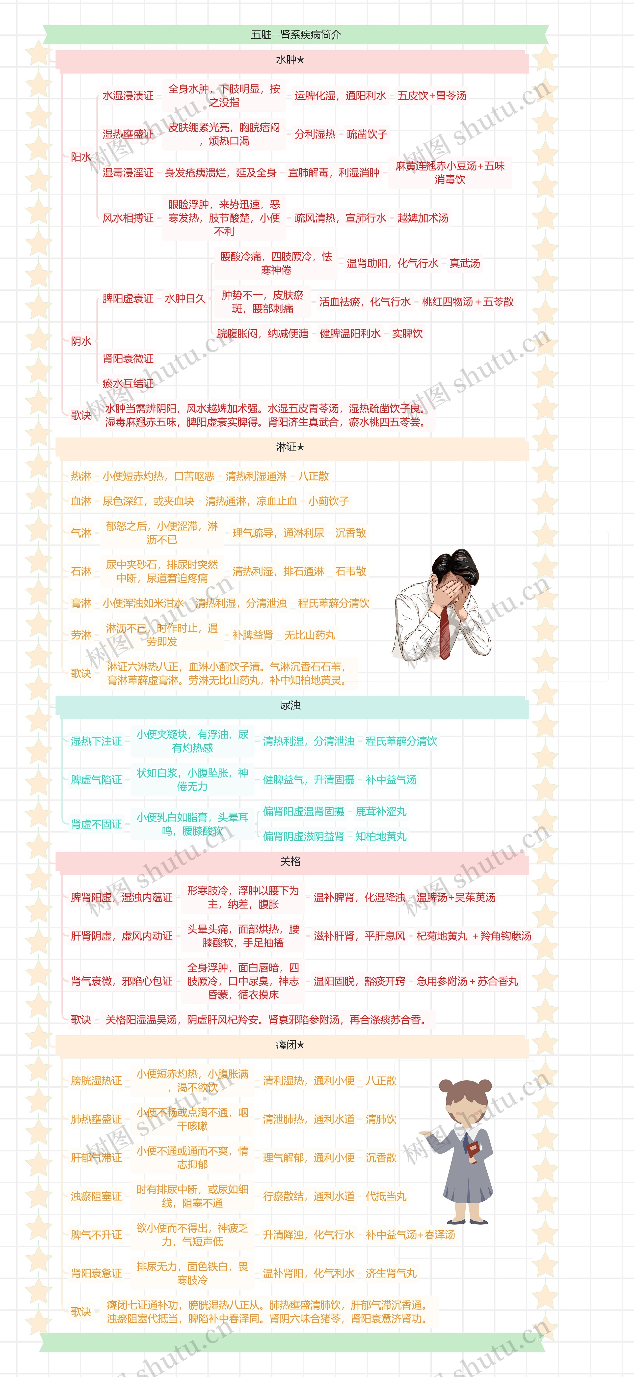 五脏--肾系疾病简介