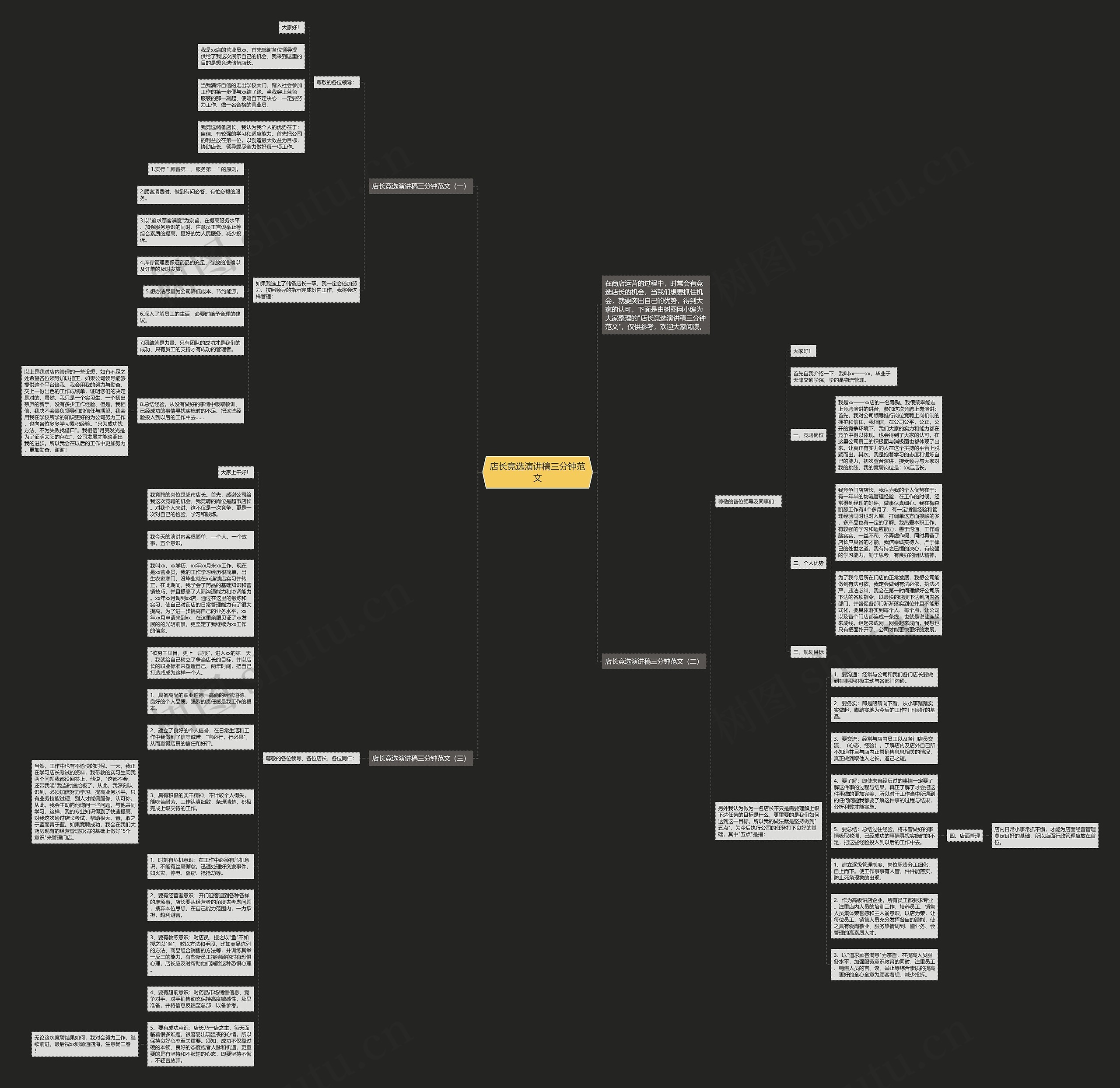 店长竞选演讲稿三分钟范文思维导图