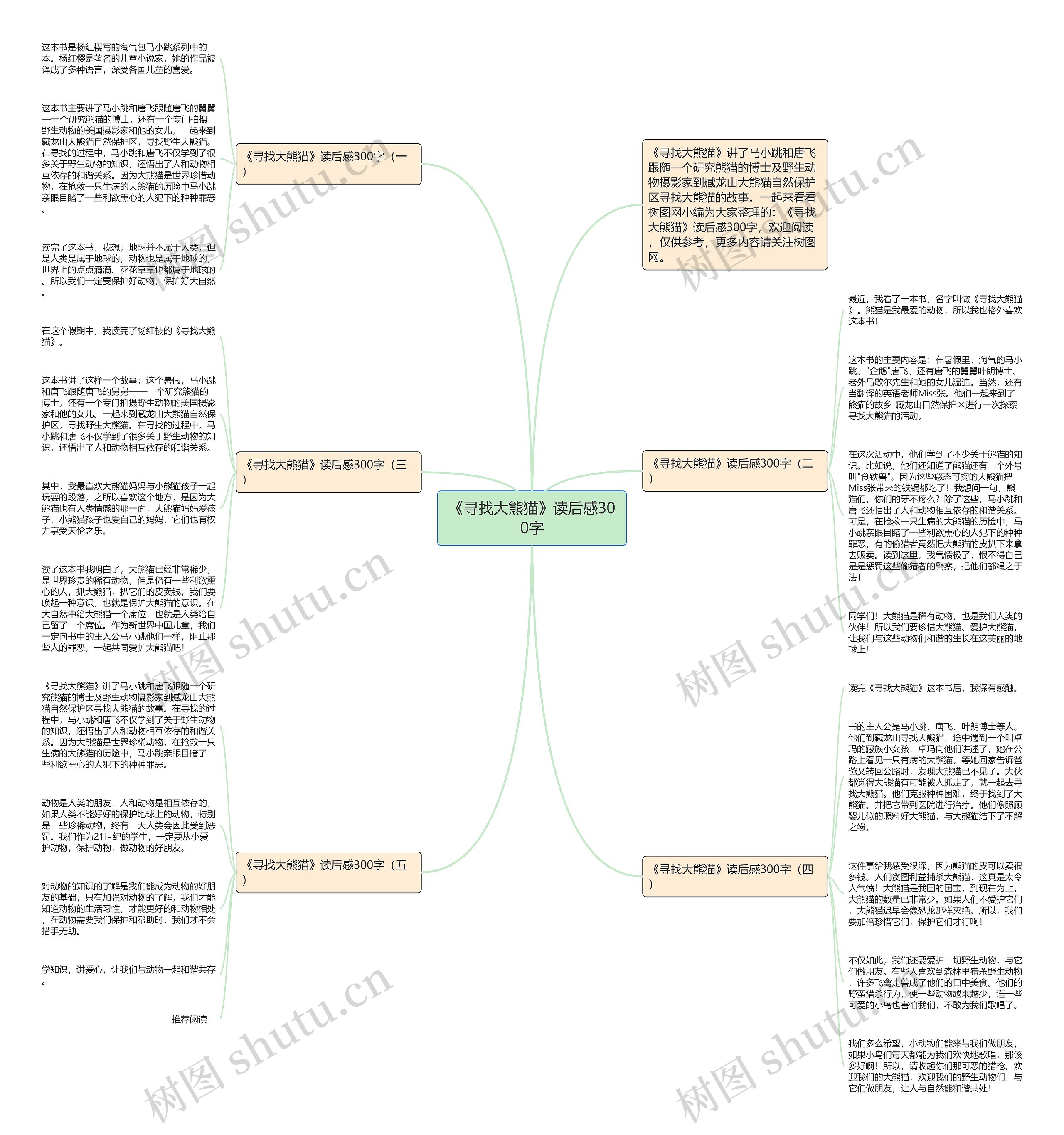 《寻找大熊猫》读后感300字思维导图