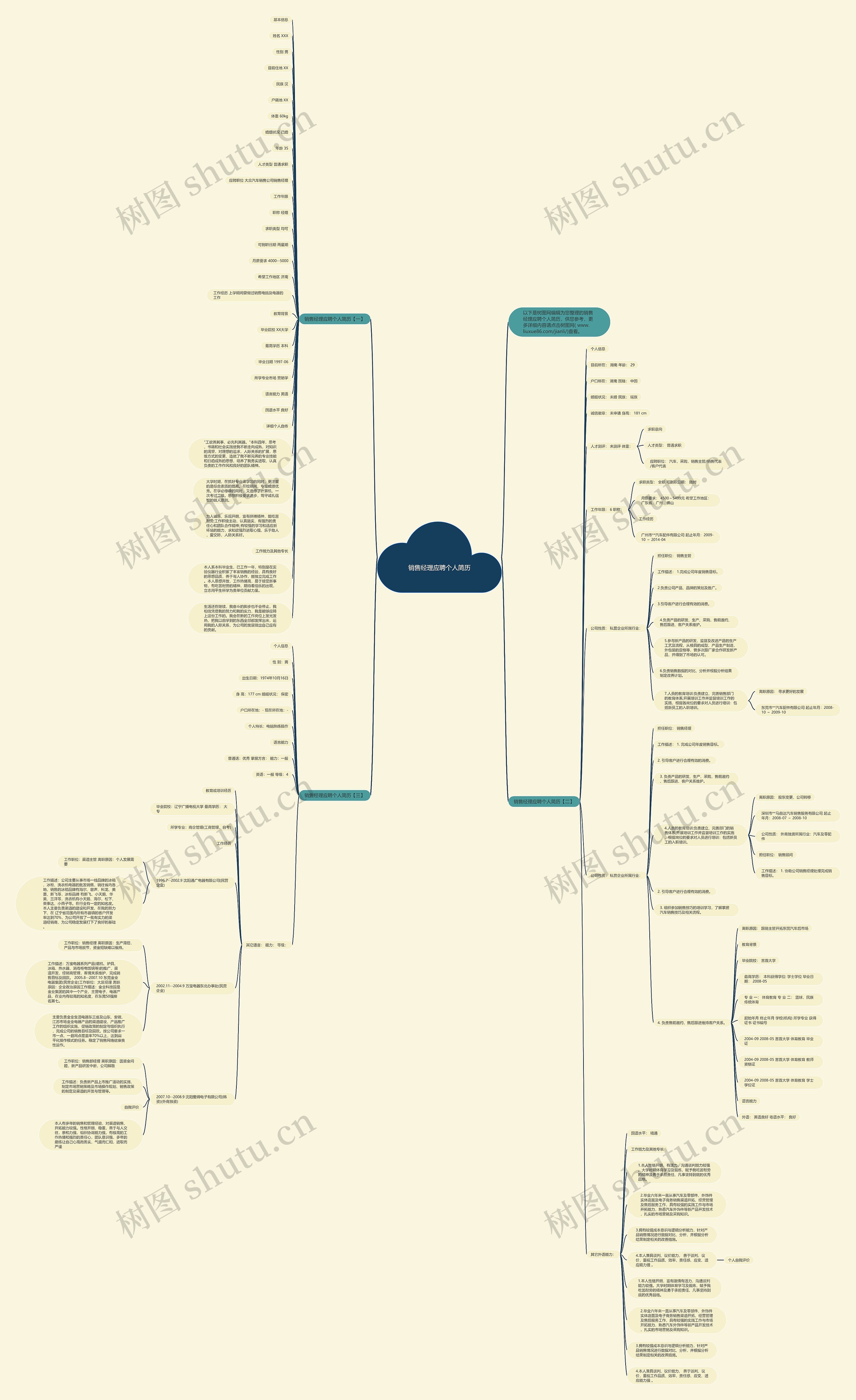 销售经理应聘个人简历思维导图