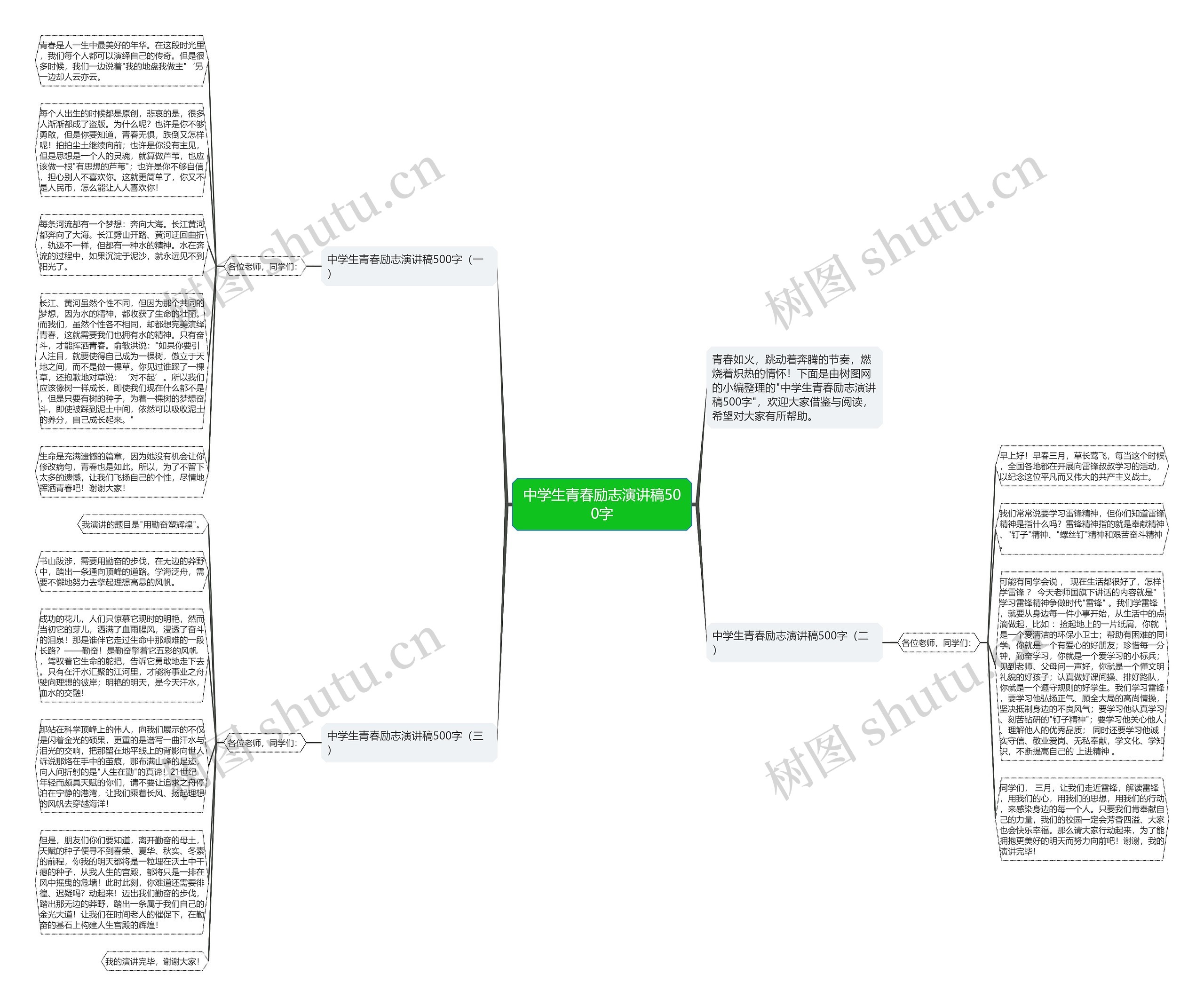 中学生青春励志演讲稿500字思维导图