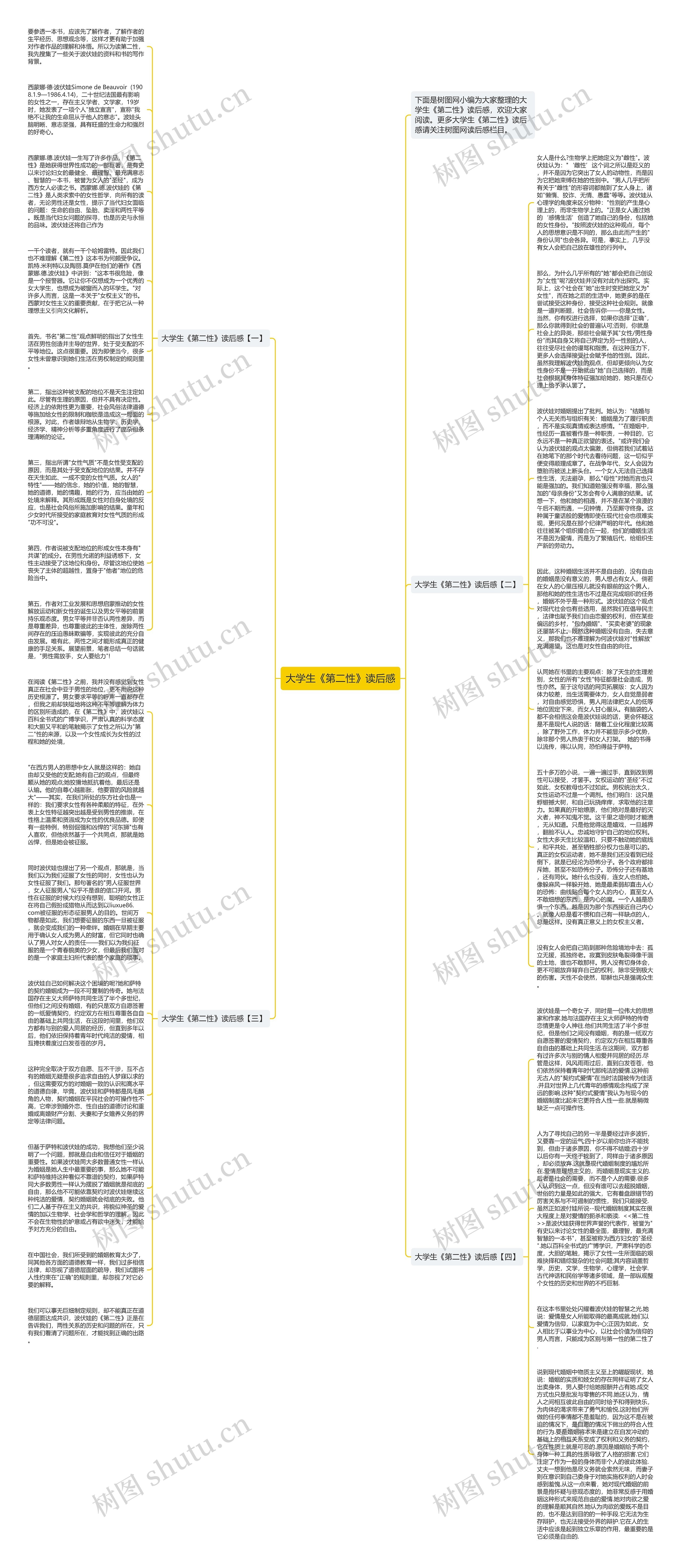 大学生《第二性》读后感思维导图