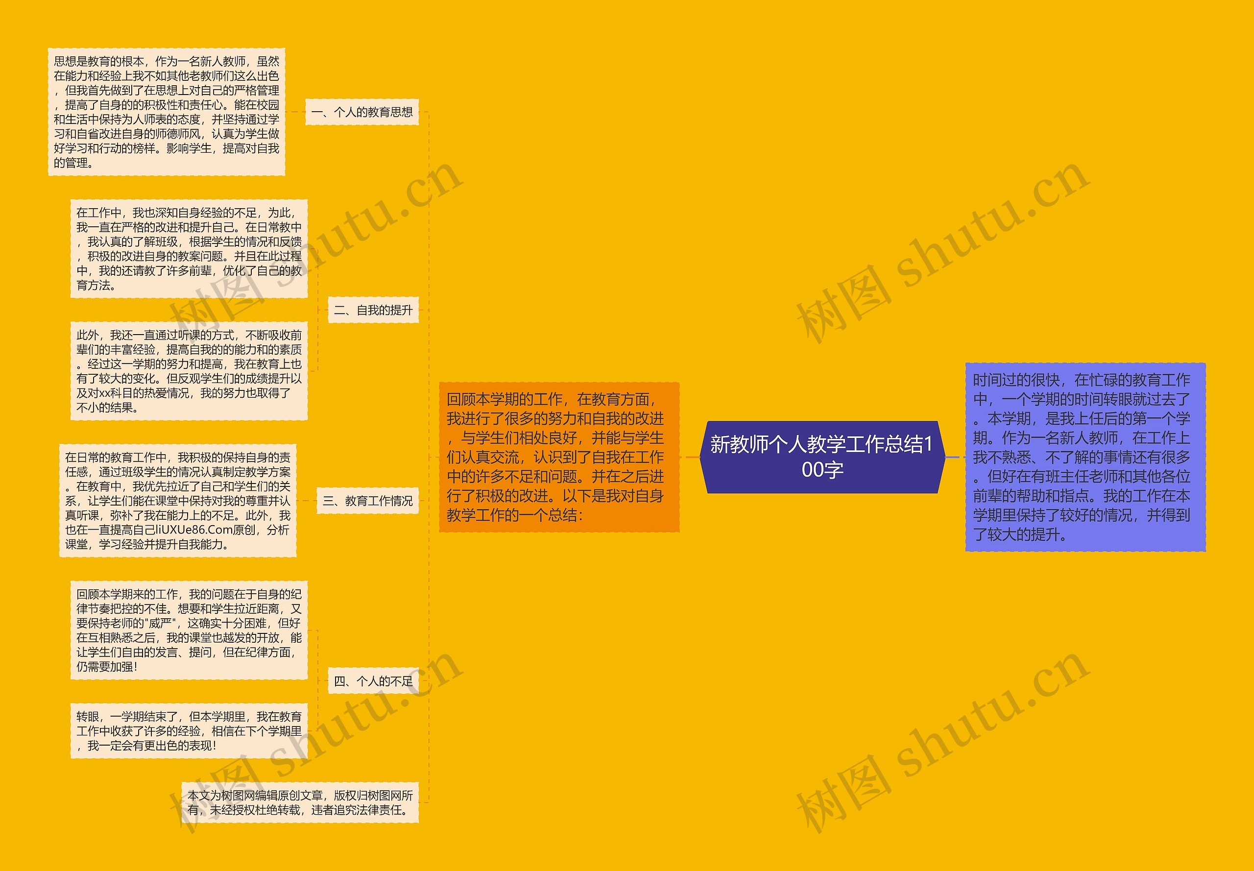 新教师个人教学工作总结100字