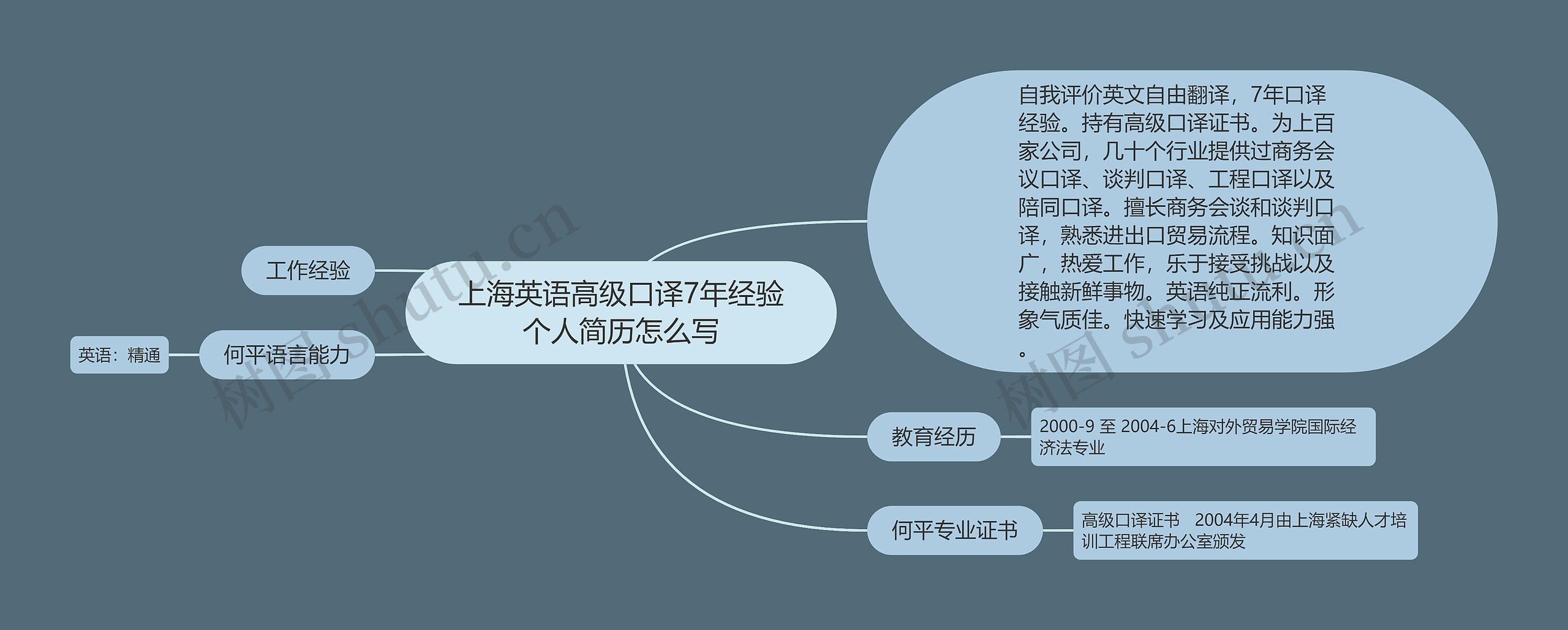 上海英语高级口译7年经验个人简历怎么写思维导图