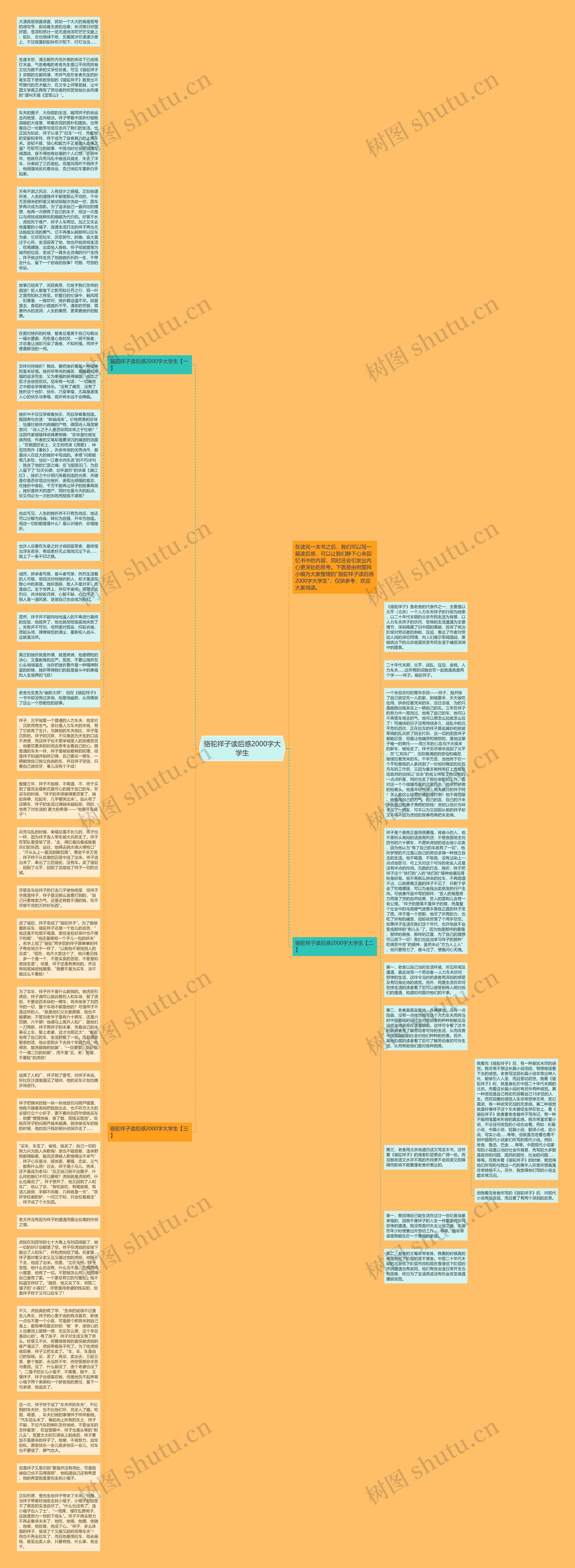 骆驼祥子读后感2000字大学生思维导图