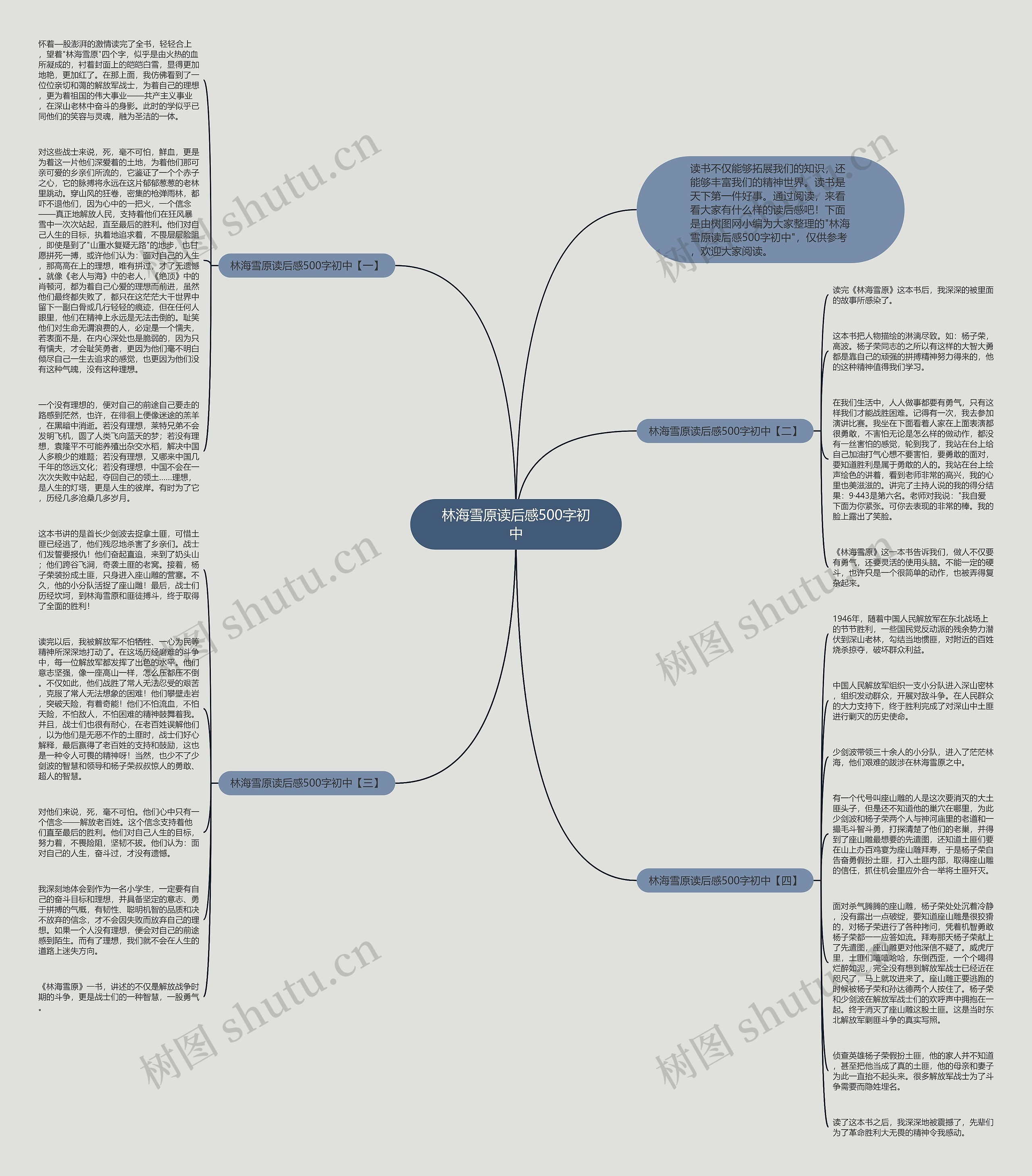 林海雪原读后感500字初中思维导图