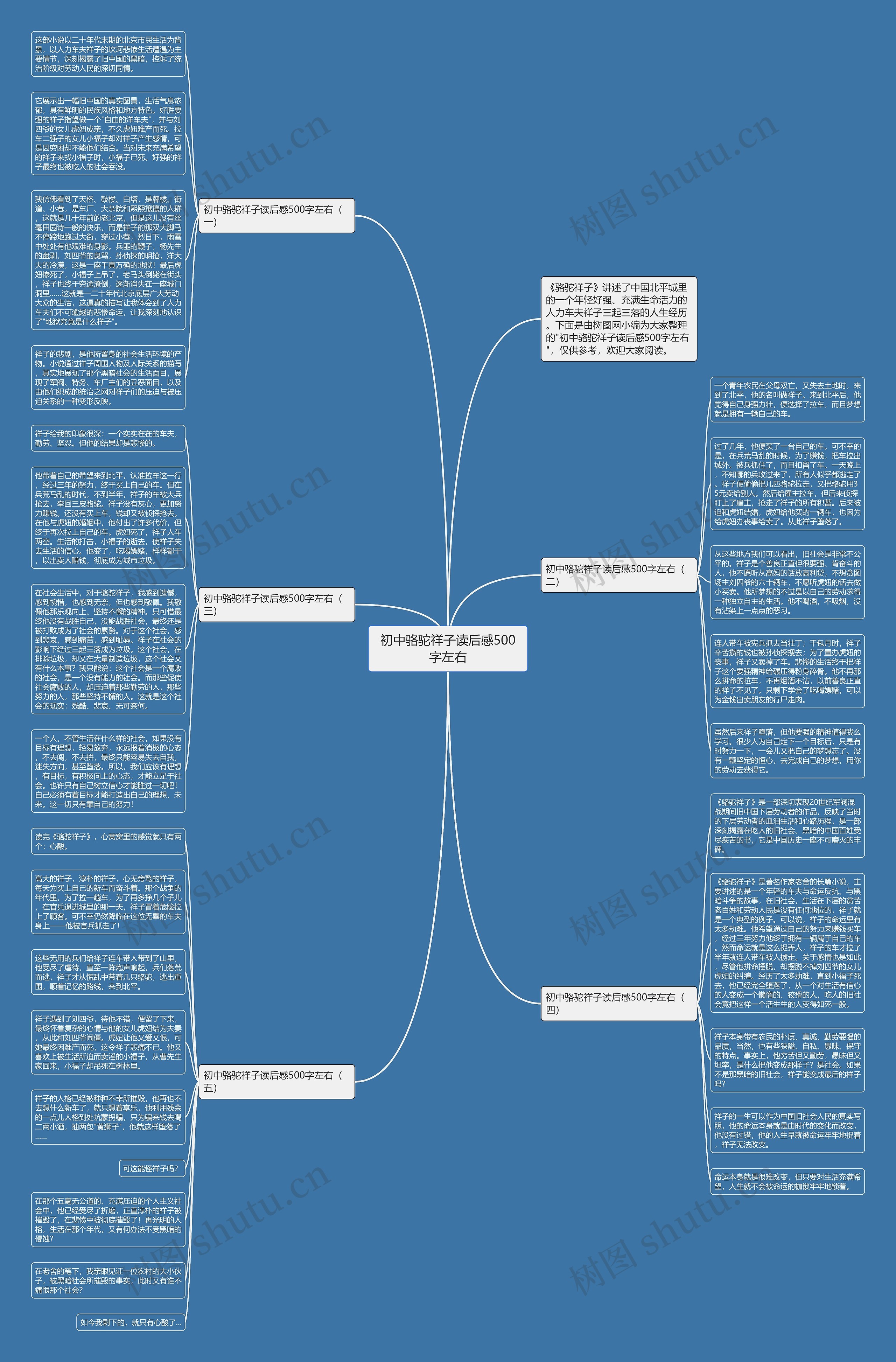 初中骆驼祥子读后感500字左右思维导图