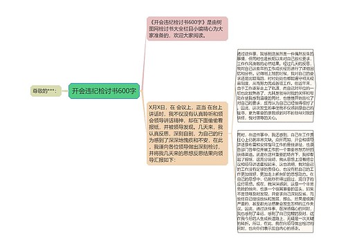 开会违纪检讨书600字