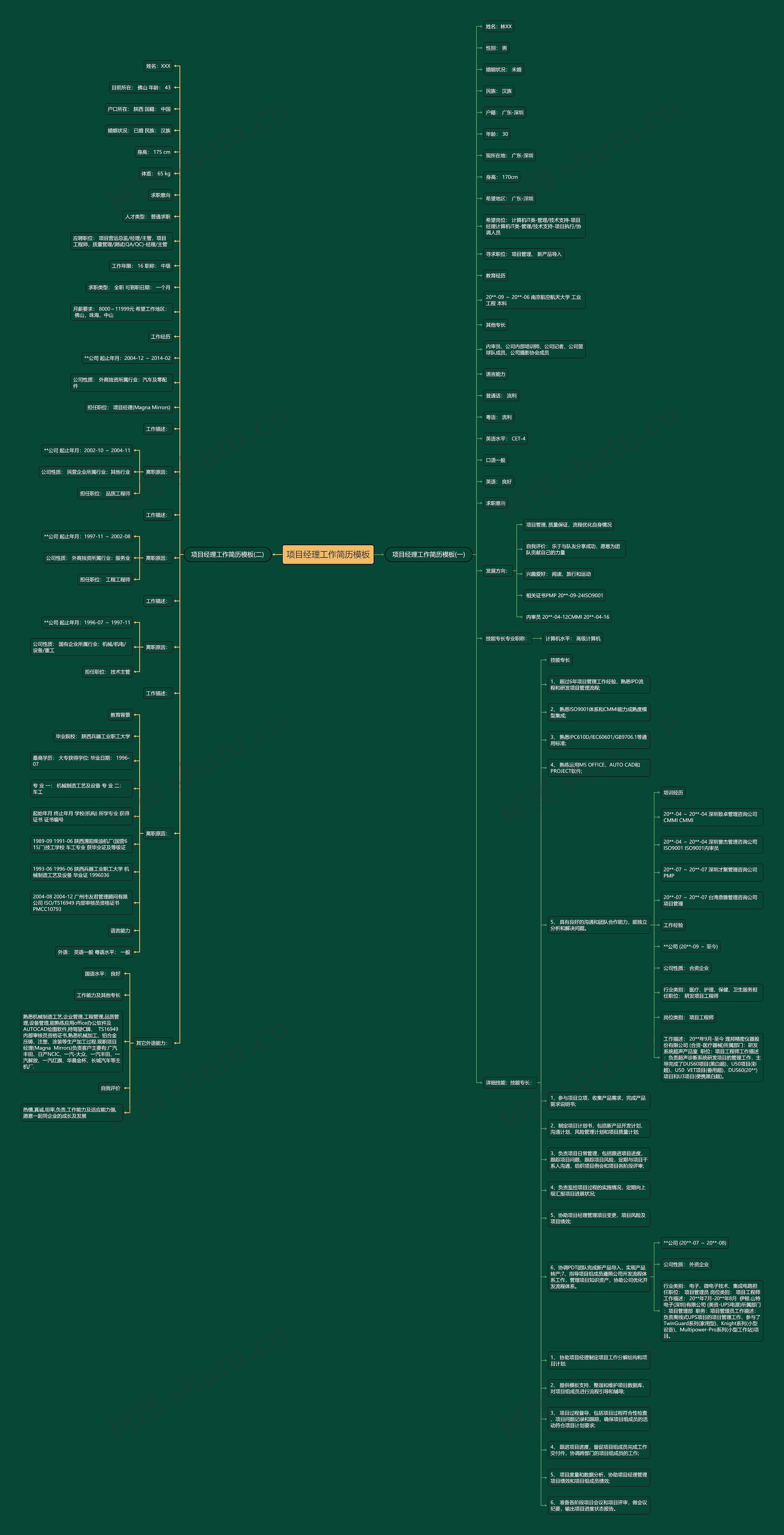 项目经理工作简历思维导图