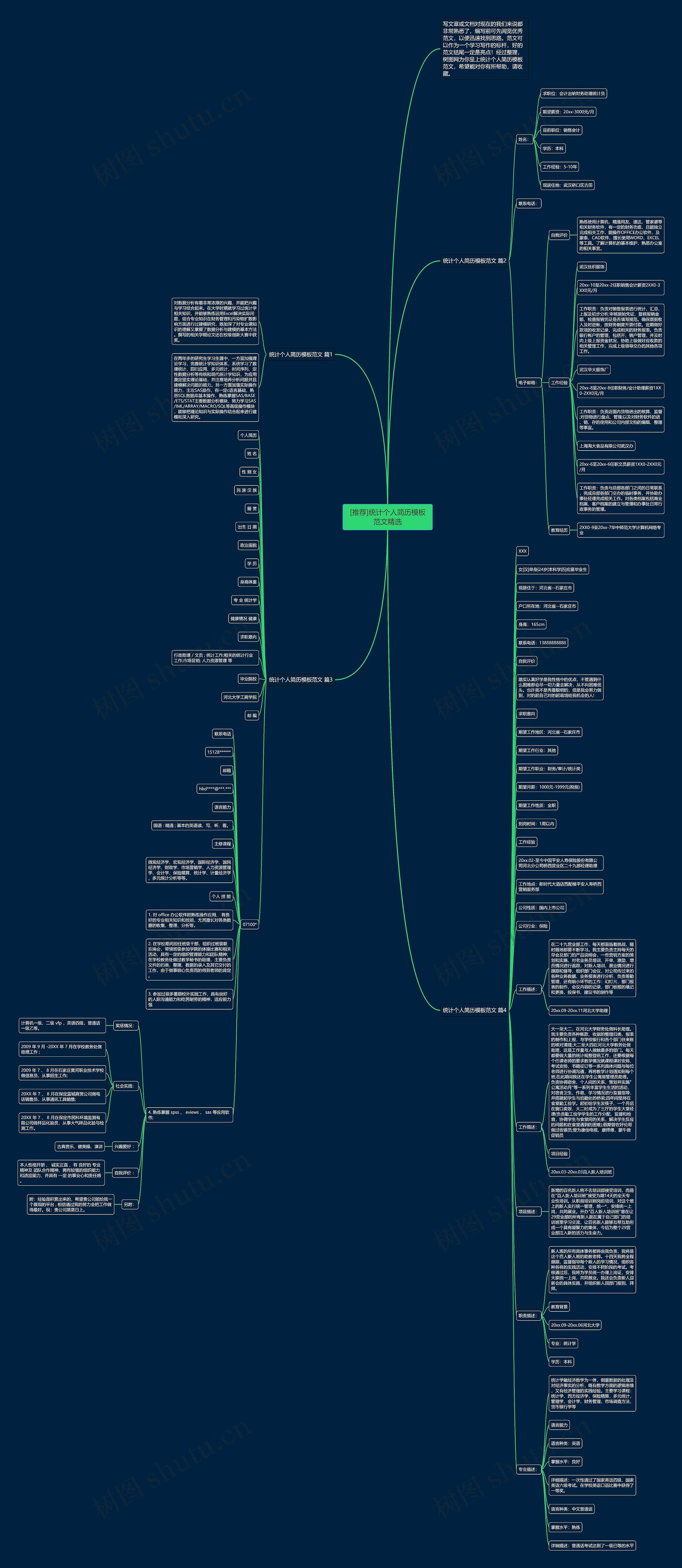 [推荐]统计个人简历范文精选思维导图