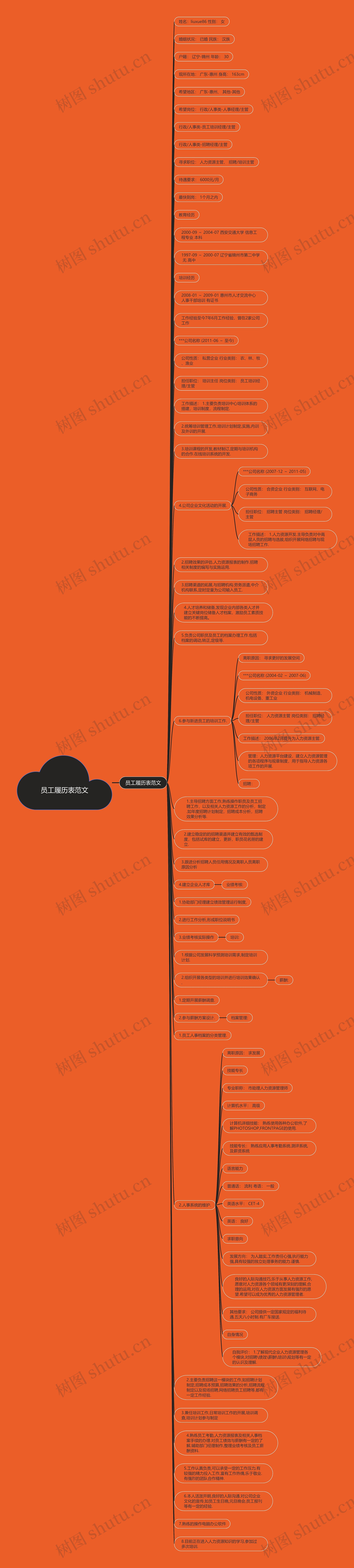 员工履历表范文思维导图