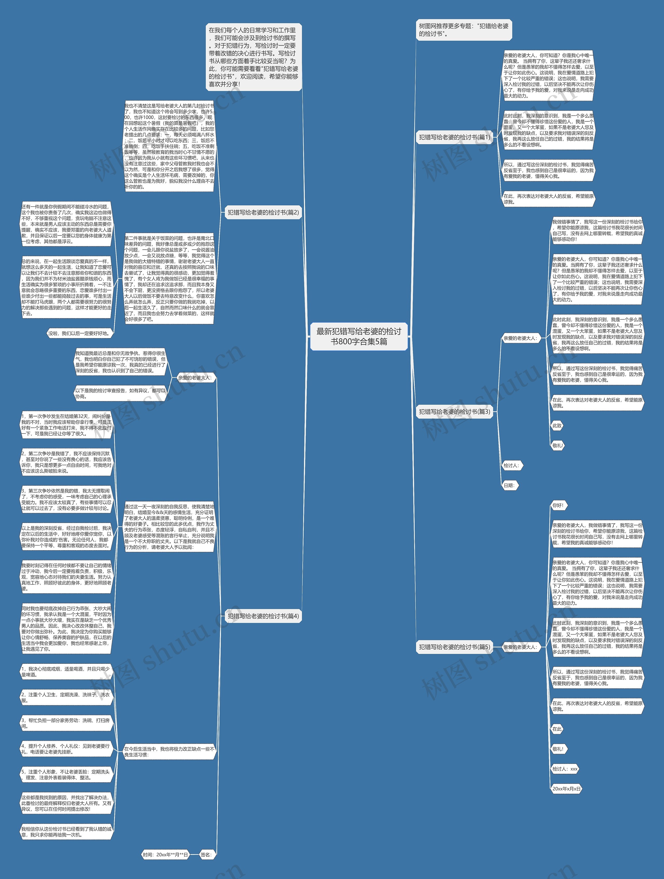 最新犯错写给老婆的检讨书800字合集5篇思维导图
