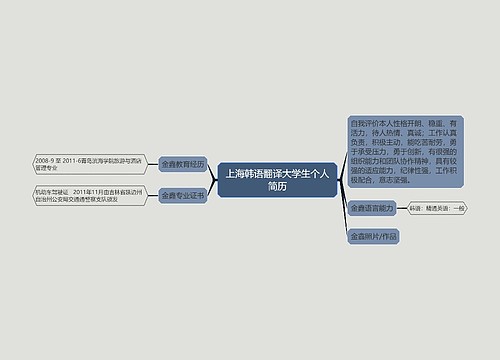 上海韩语翻译大学生个人简历