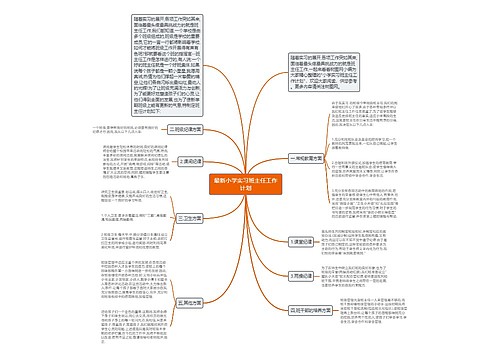 最新小学实习班主任工作计划
