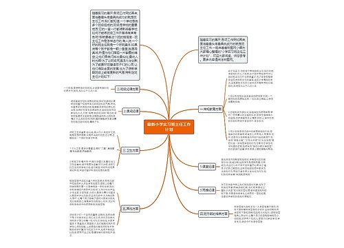 最新小学实习班主任工作计划