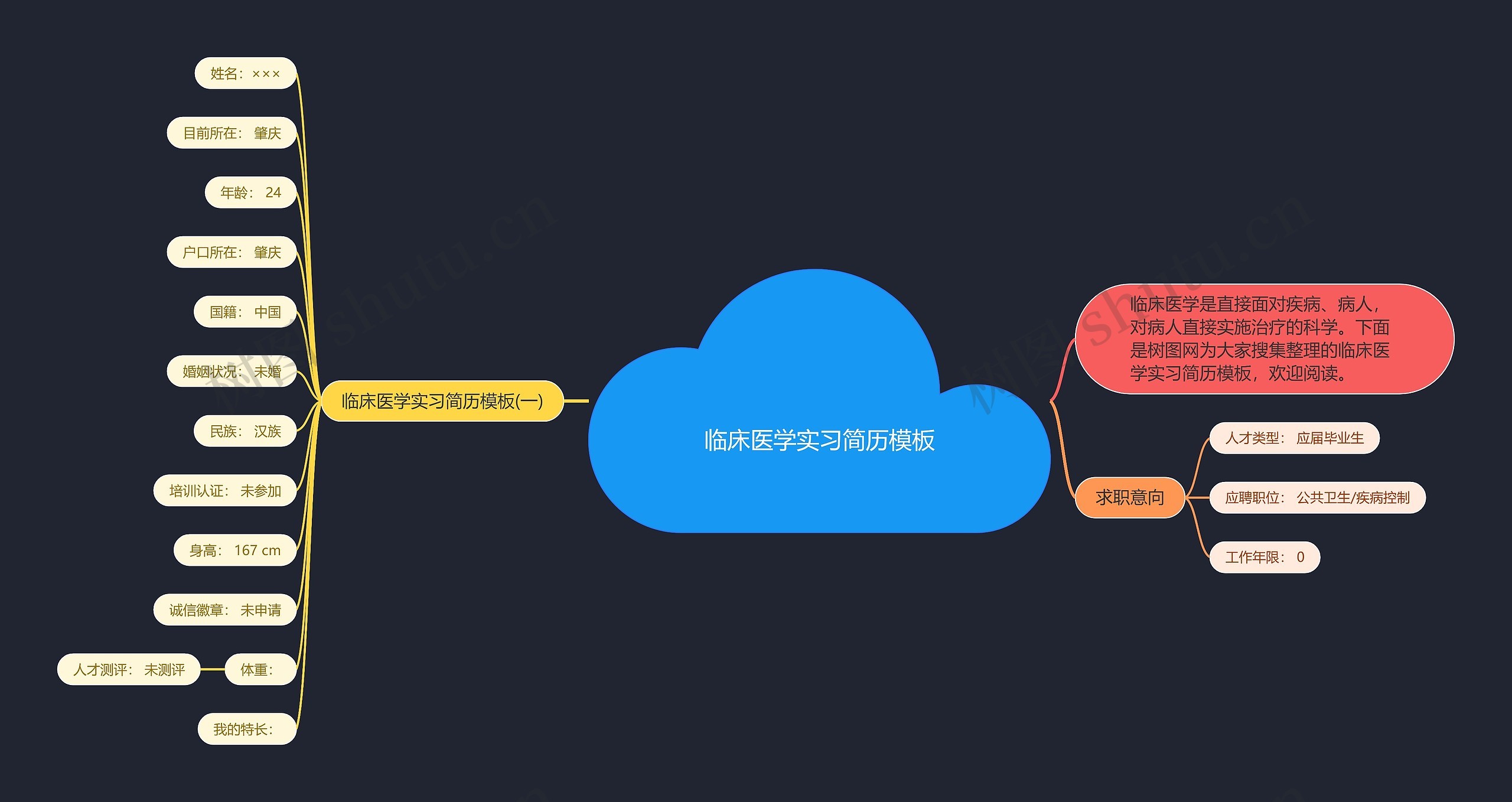 临床医学实习简历思维导图